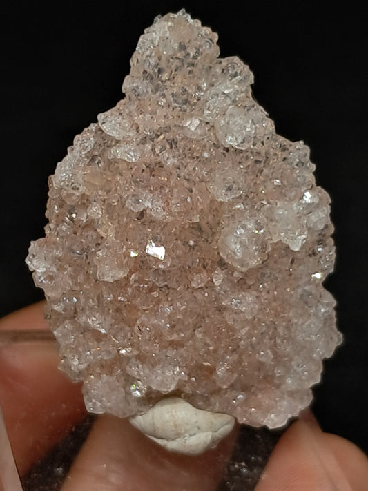 Pink Apophyllite On Quartz Floater Cluster (Ajanta) Natural Crystal | Mineral Specimen #APP1