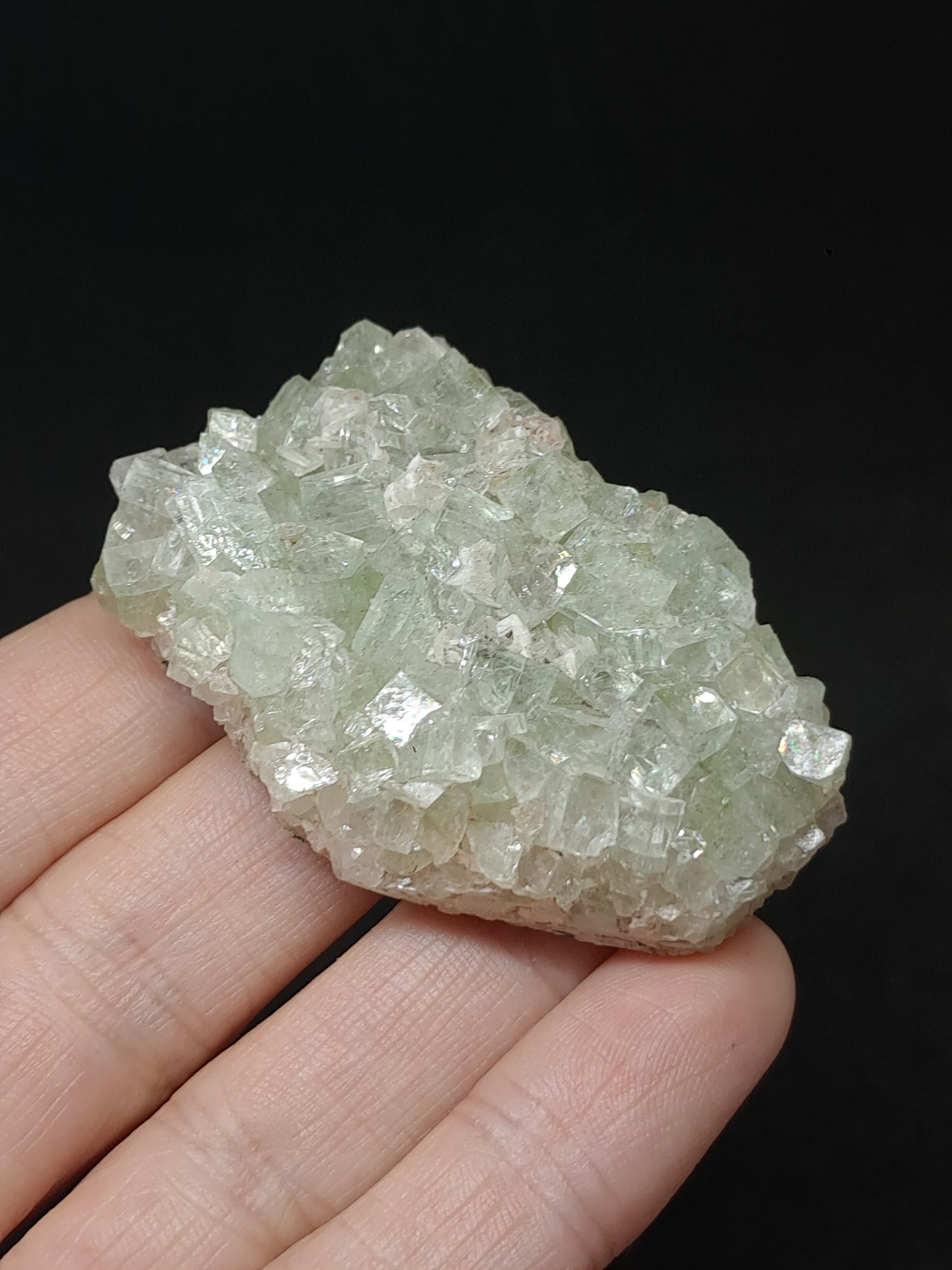 Green Apophyllite Cluster (Fluorapophyllite) (Ajanta) Rough Natural Crystal | Mineral Specimens #GA58