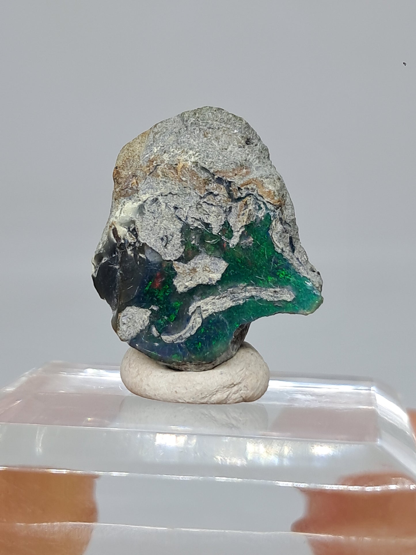 Natural Ethiopian Opal | Black Hydrophane Opal #OP27