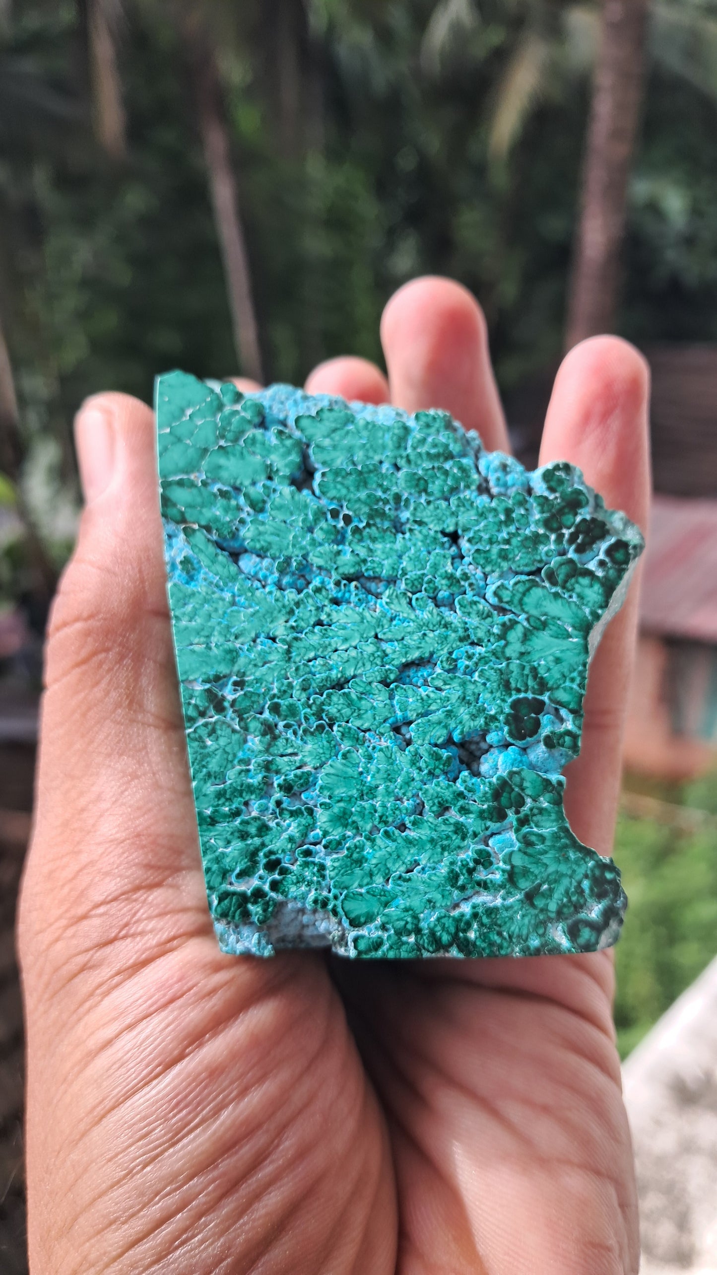 Malachite w/ Chrysocolla | Half Polished Half Rough | Natural Stone | Large Size | Beautiful Patterns #CM27