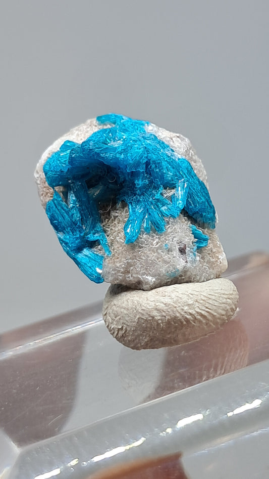 Láminas de Cavansita sobre Matriz de Estilbita (Wagholi) Cristal en Bruto | Piedra Natural | Muestra de Mineral Raro #CV66