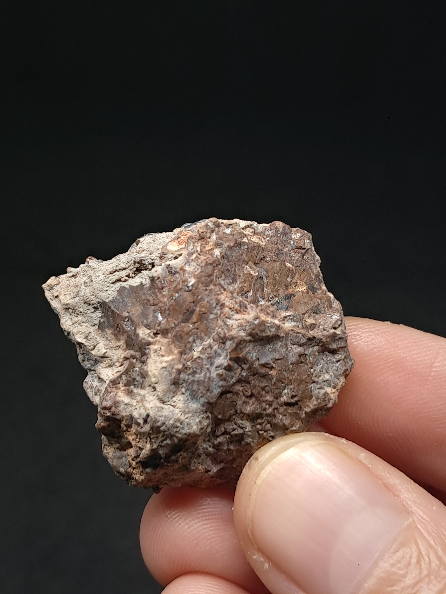Hyalite Opal on Matrix (Mexico) Rough Crystal Stone | UV-Reactive Mineral Specimen #OH20