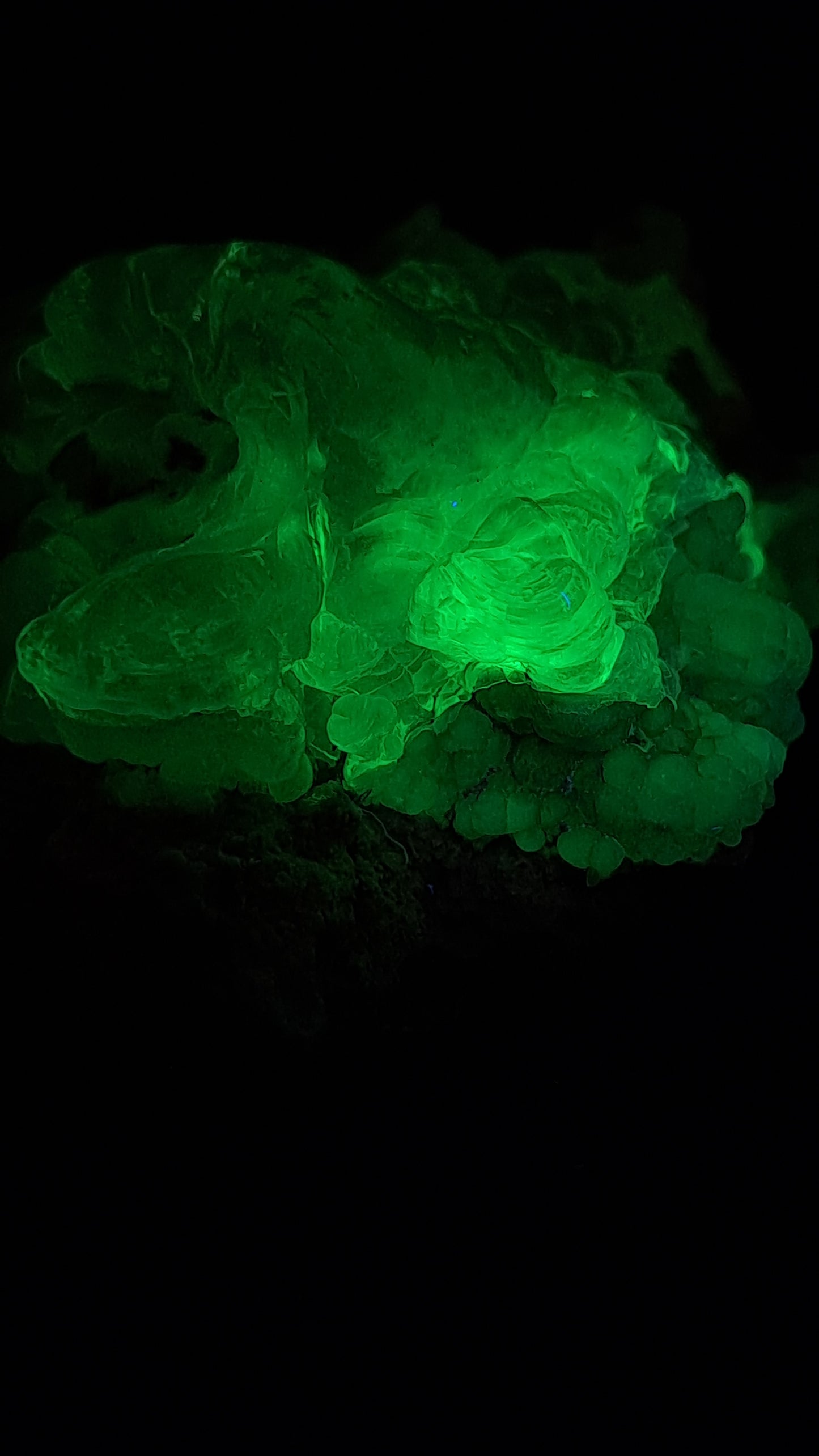 Hyalite Opal on Matrix (Mexico) Rough Crystal Stone | UV-Reactive Mineral Specimen #OH4