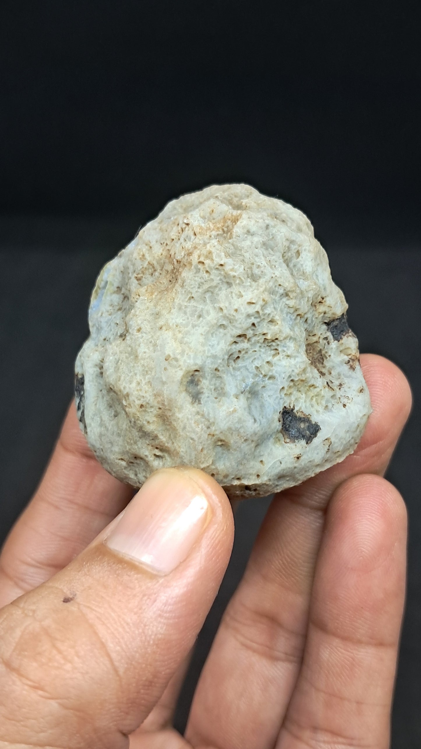 Amethyst Geode (Ajanta) | Deep Cavity | Natural Crystal | Rough Stone #GD34