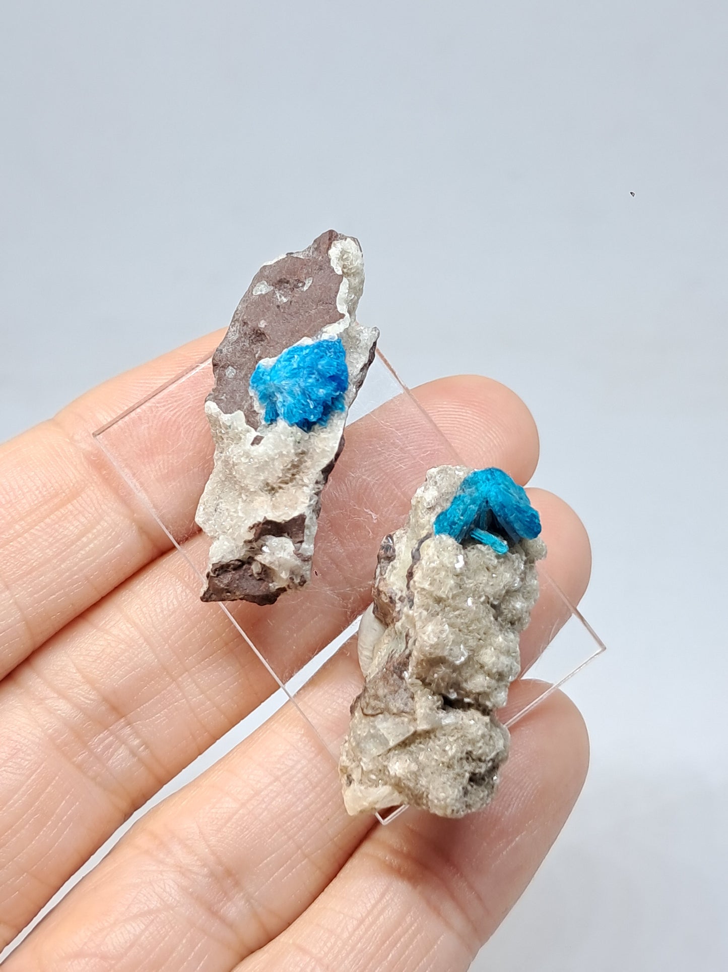 Set of Cavansite & Pentagonite on Matrix (Wagholi) Rough Stone | Natural Crystal | Rare Mineral Specimen #CV42