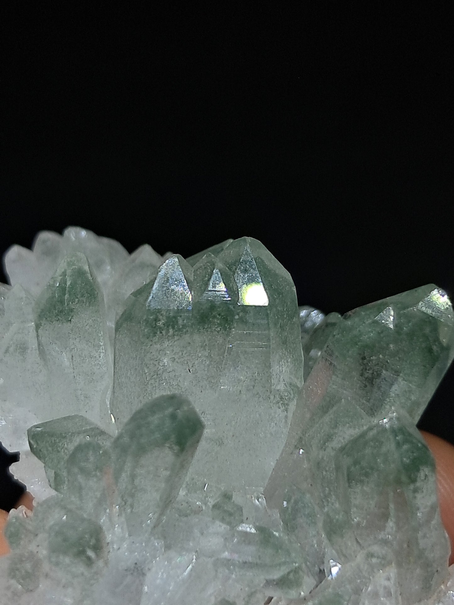 Chlorite Phantom Cluster (Kullu) Natural Crystal | Garden Chamanic Quartz #CQ76