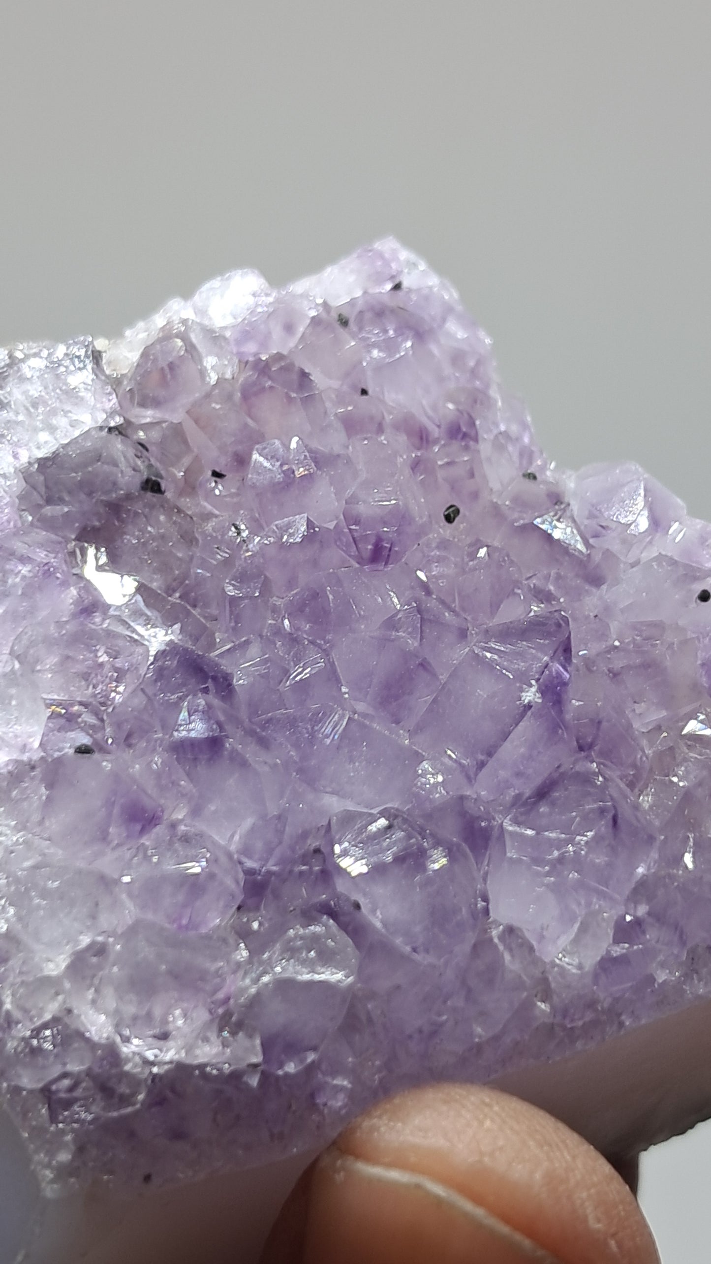 Amatista lavanda morada (Brasil) | Drusa natural | Espécimen mineral #AMB10