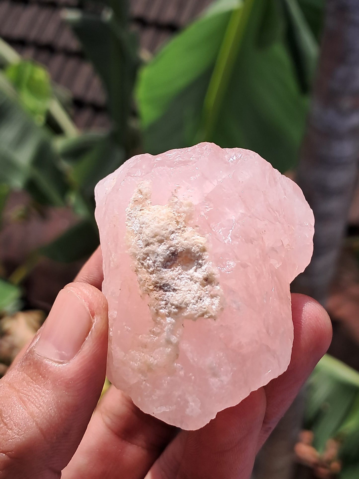 Rose Quartz (Rajasthan) Rough Stone | Natural Gemstone #RQ11