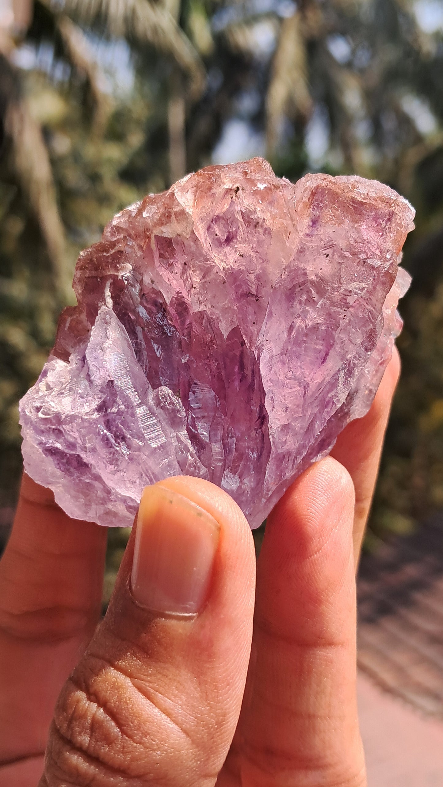 Karur Amethyst Scepter Cluster | Honeycomb Terminations | "Super Seven" inclusions | Mineral Specimen #KA186