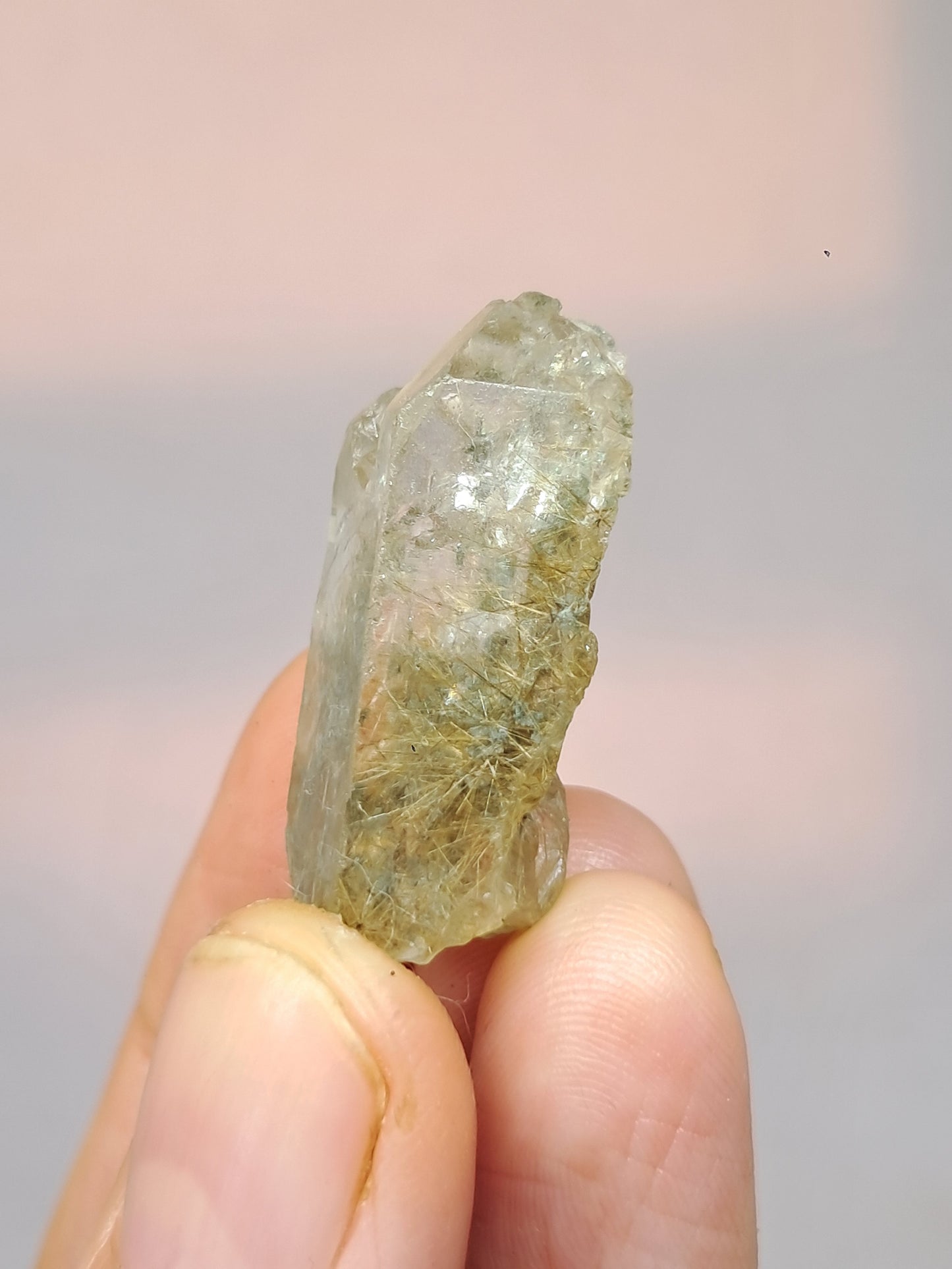Quartz w/ Chlorite and Golden Rutile Inclusions (Kullu) Rough Stone | Natural Crystal Point | Mineral Specimen #CH45