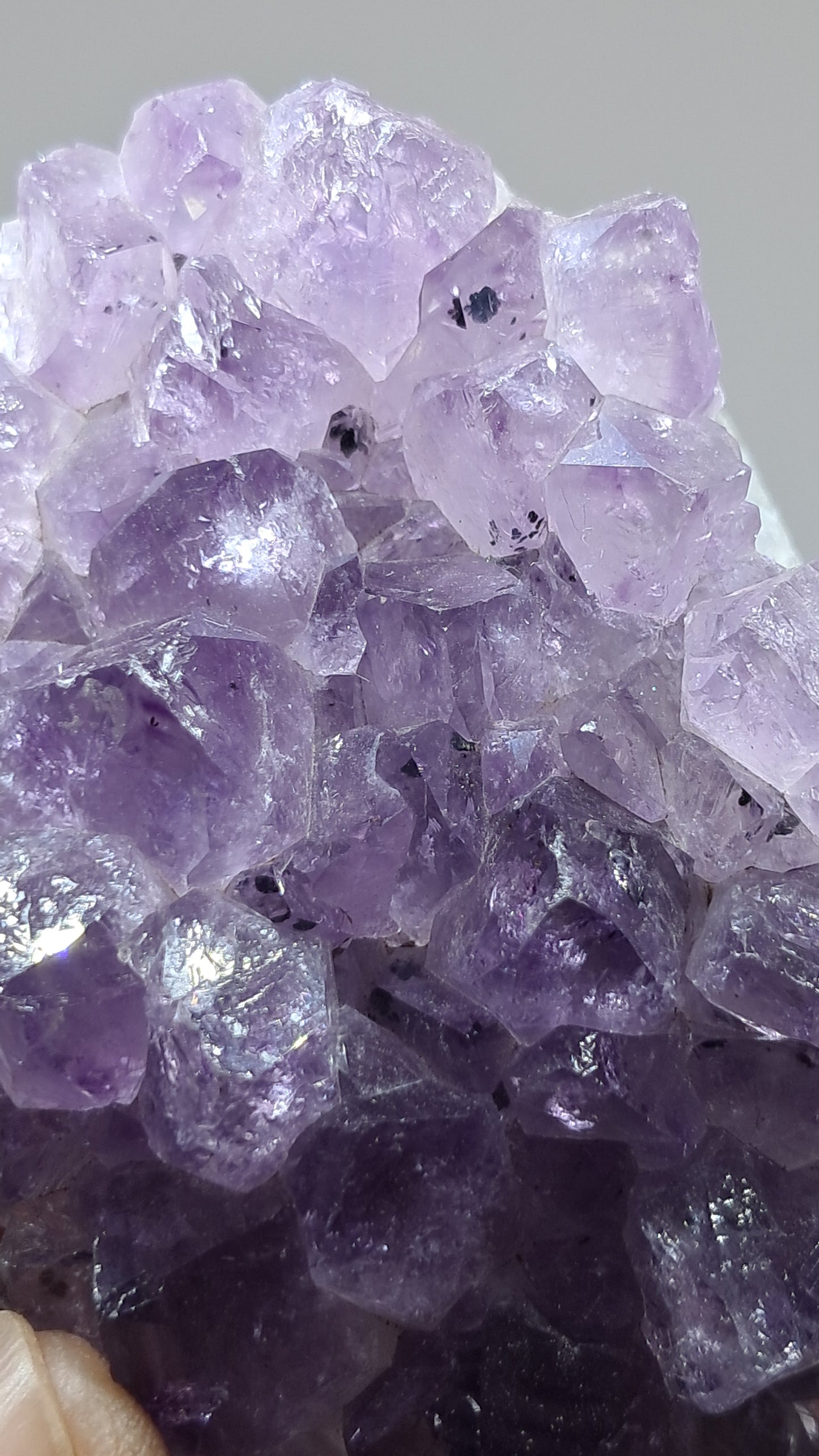 Amatista Morada Intensa (Brasil) | Drusa Natural | Mineral de Colección #AMB9