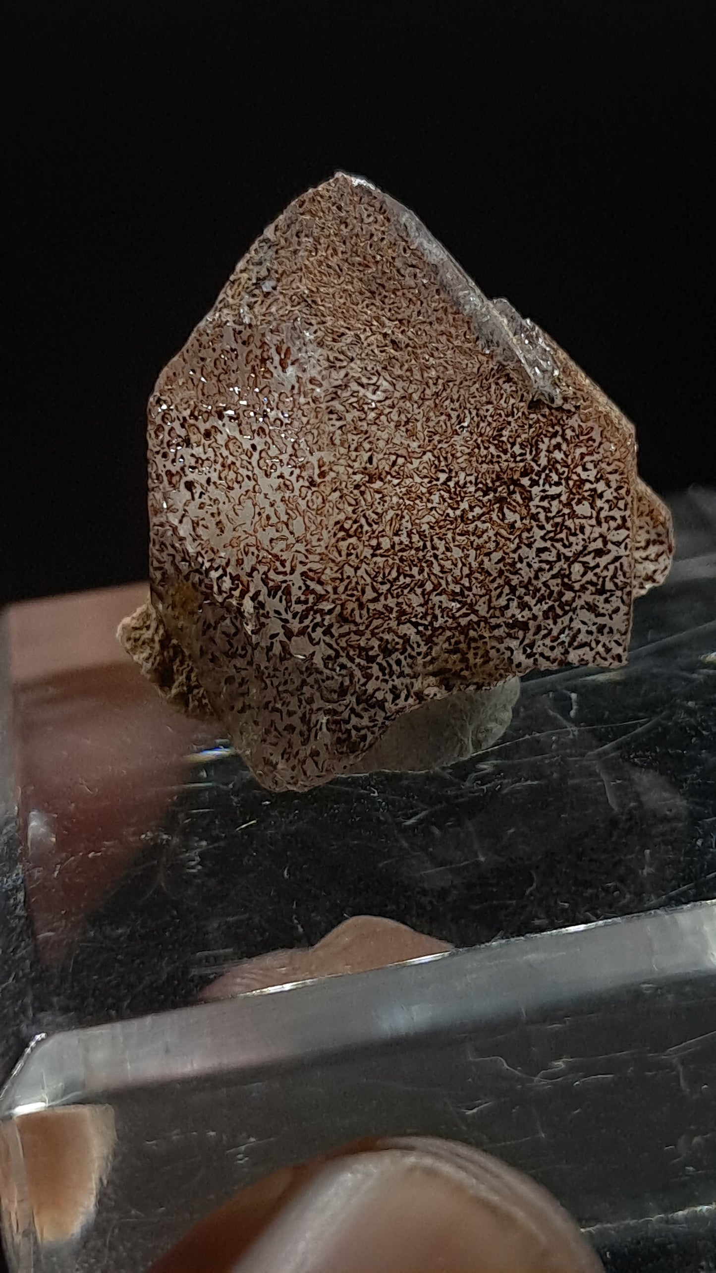 Smokey Elestial Quartz (Karur) Interesting Inclusions | Mineral Specimen #EQ31