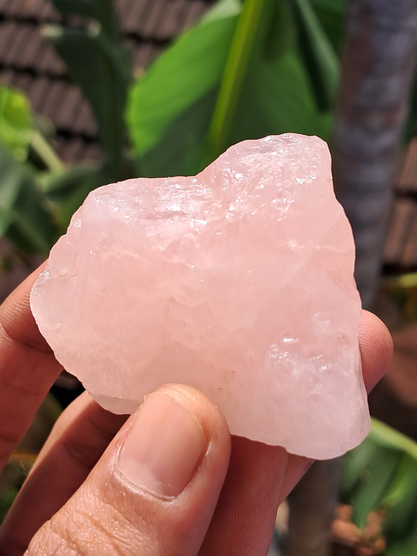 Rose Quartz (Rajasthan) Rough Stone | Natural Gemstone #RQ11