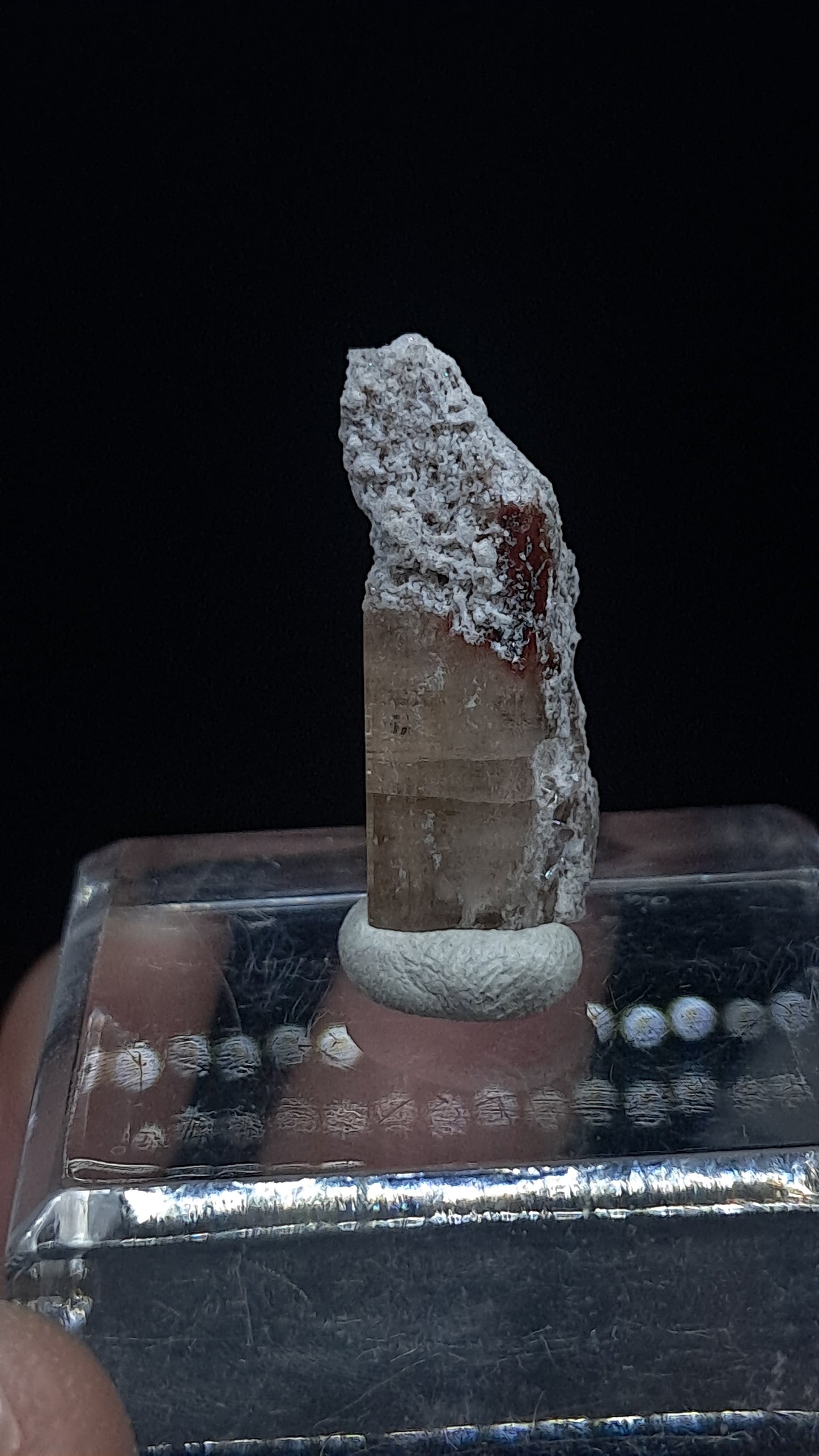 Natural Topaz Crystal (Mexico) Rare Gemstone | Mineral Specimen #TPZ44