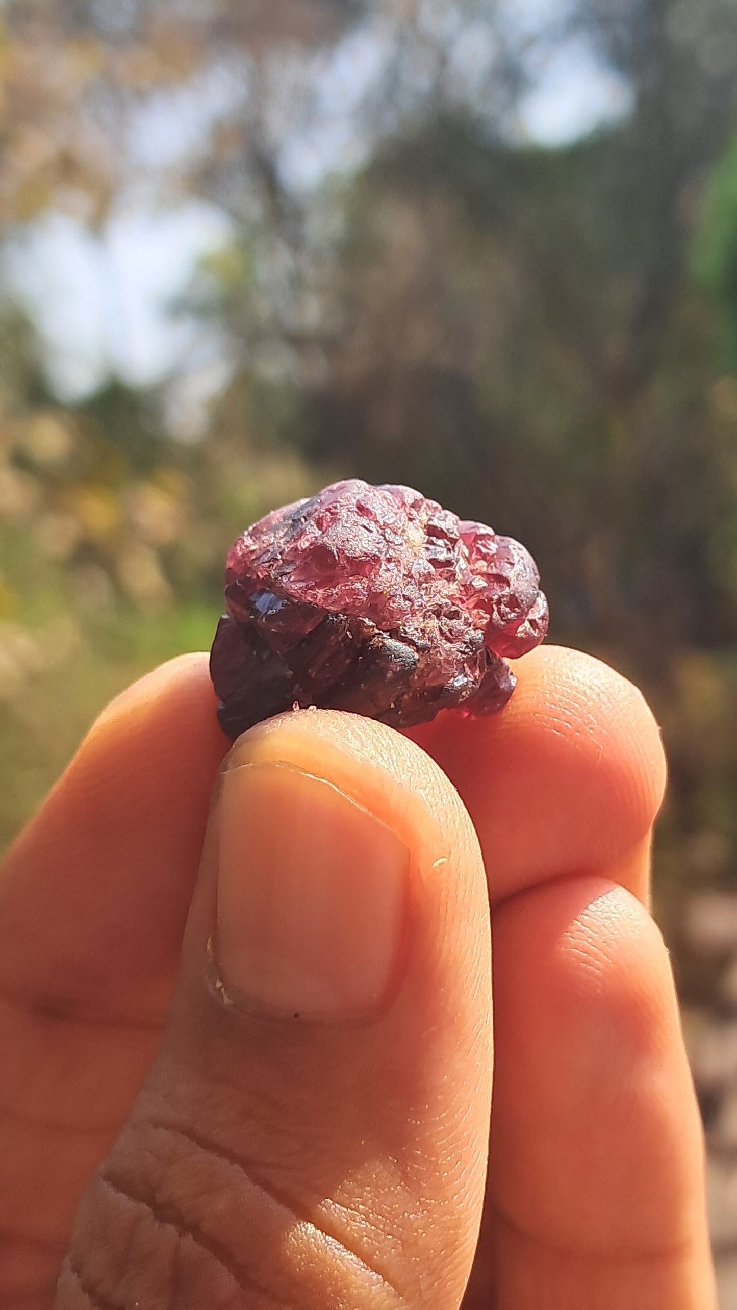 Granate Rojo (Karur) | Pulido por el río | Piedra Natural #RG4