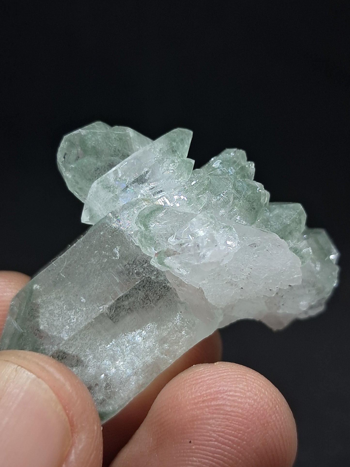 Himalayan Quartz Chlorite Phantom Cluster | Biterminated Crystals | #CH59