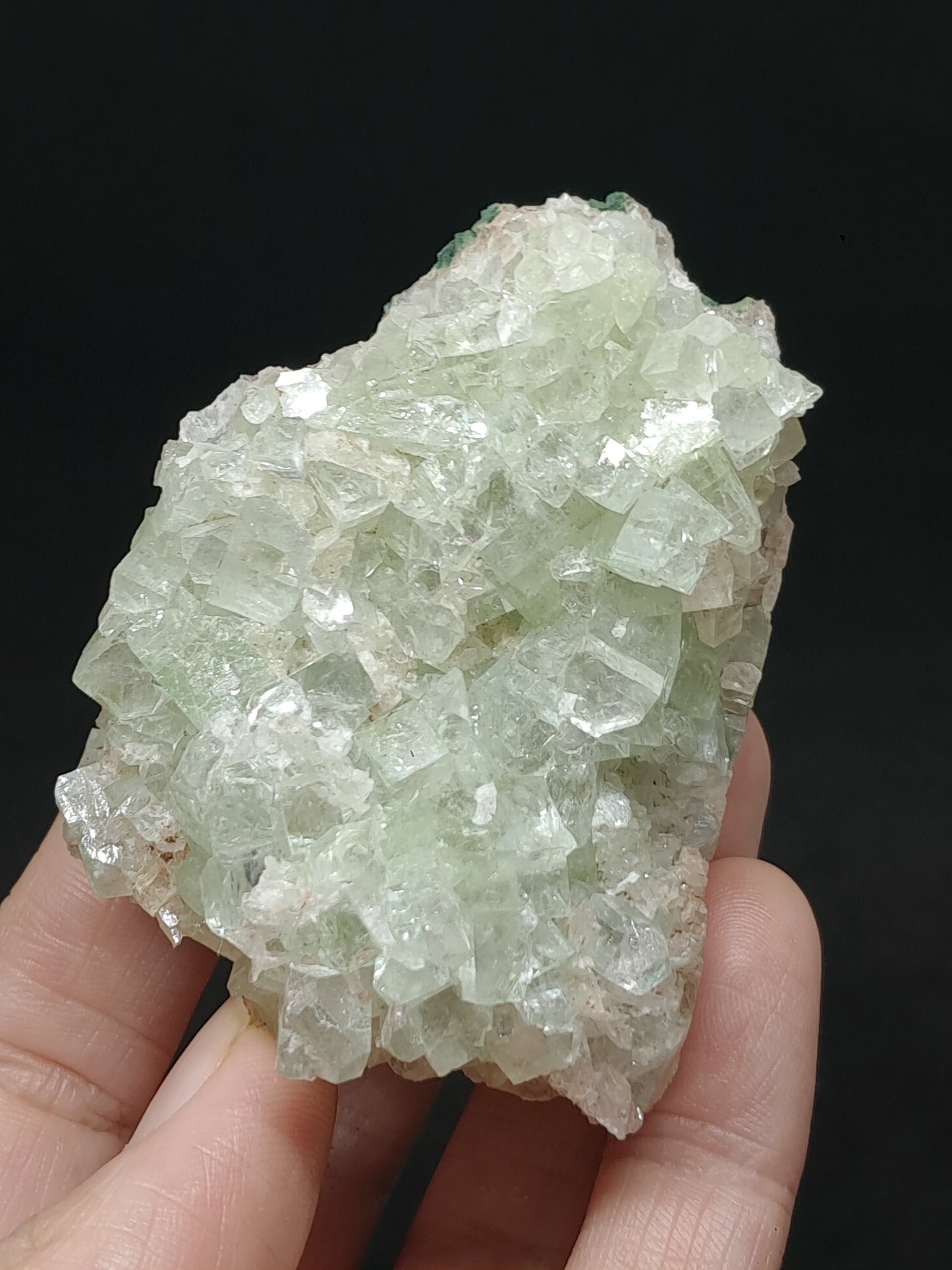 Green Apophyllite Cluster (Fluorapophyllite) (Ajanta) Rough Natural Crystal | Mineral Specimens #GA56