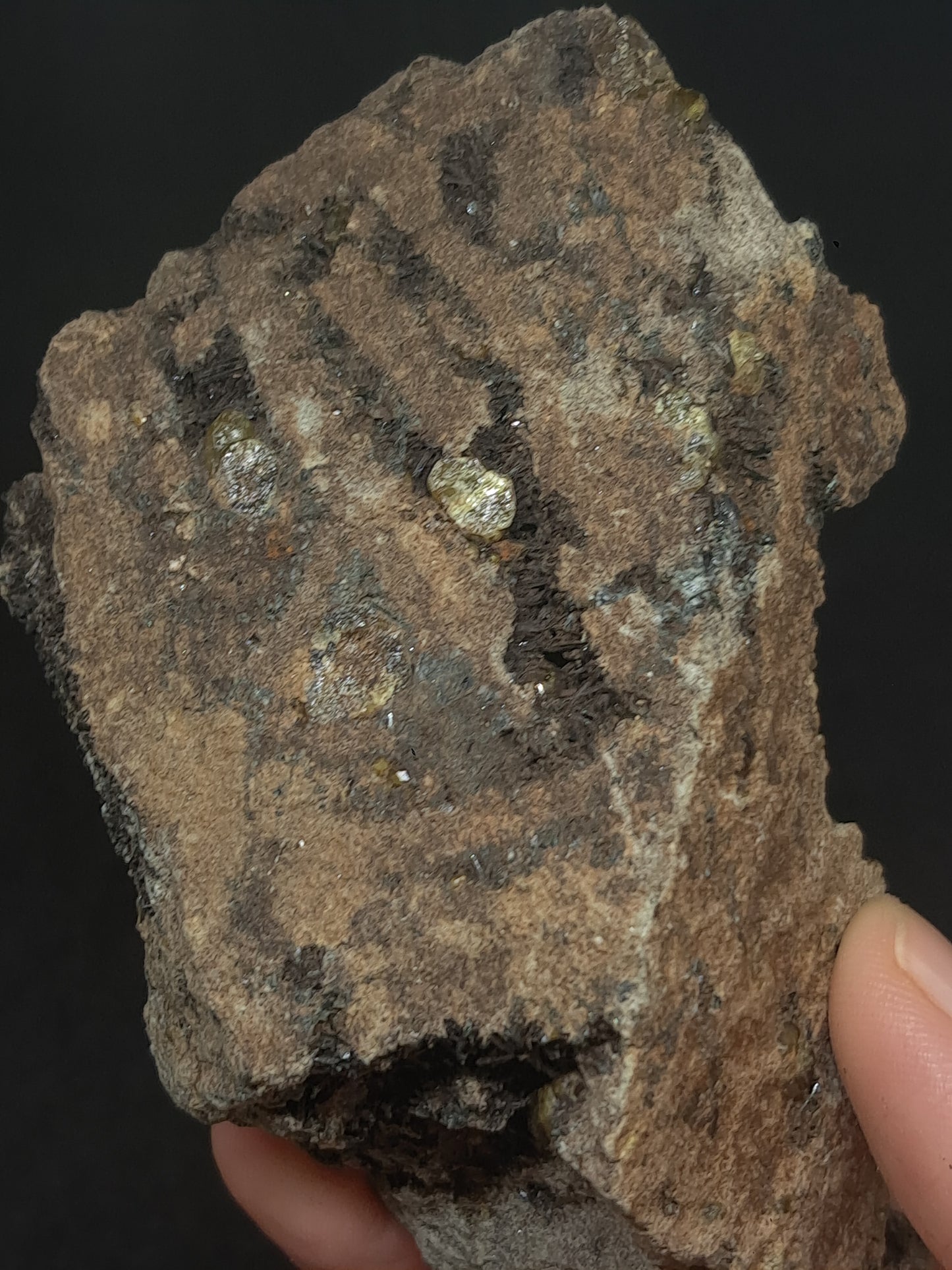 Green Garnet w/ Aegirine (Acmite) on Matrix (Mexico) Andradite Garnet Cluster |Rough Crystal Stone | Mineral Specimen #GR27