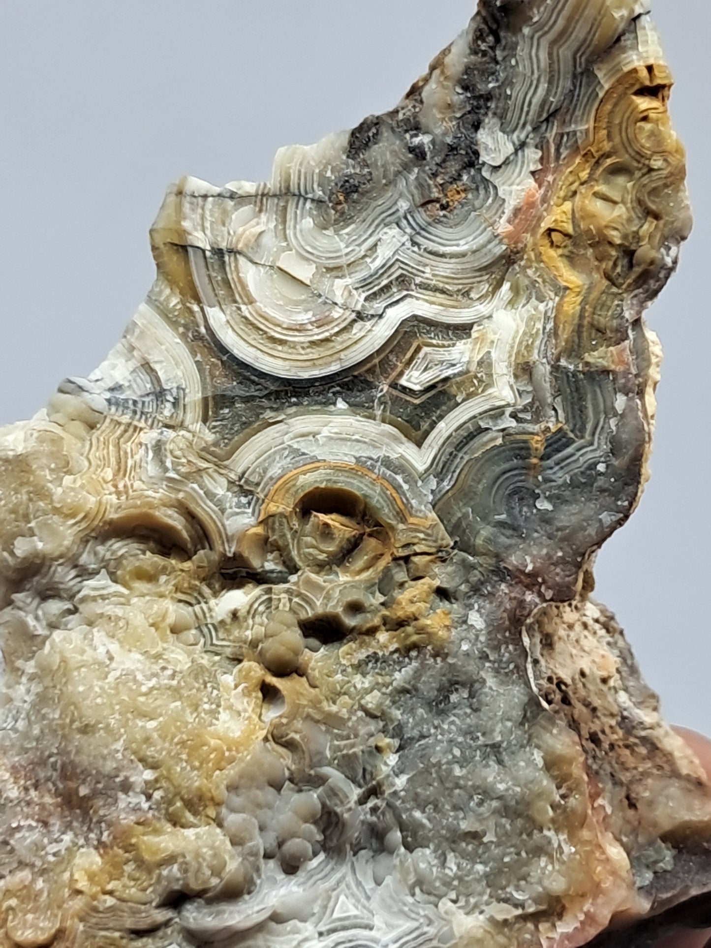 Crazy Lace Agate Rough | Natural Stone | Mineral Specimen #CLA4