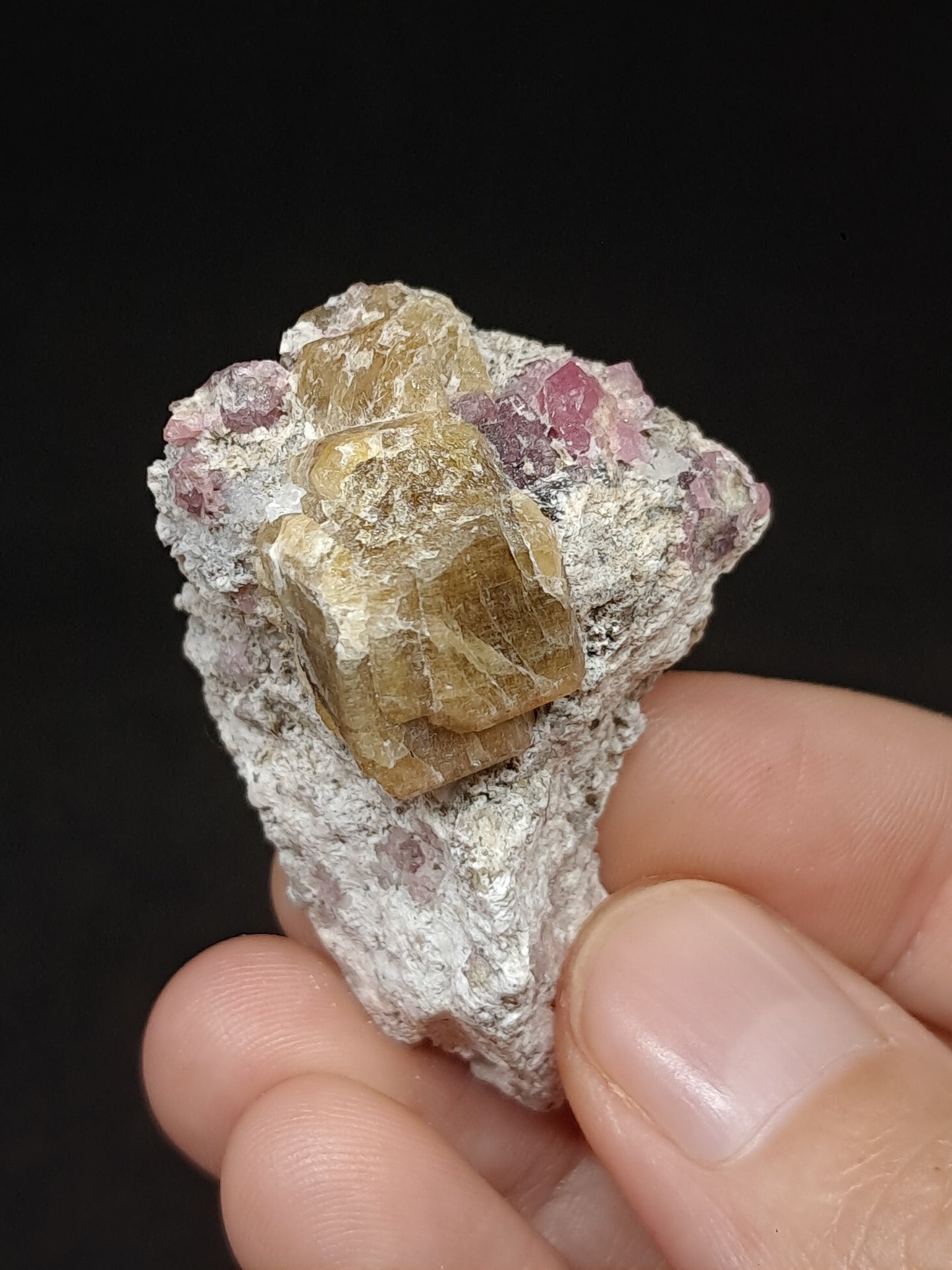 Grossular & Andradite Garnet on Matrix (Mexico) Pink and Green Garnet Cluster |Rough Crystal Stone | Mineral Specimen #GR33