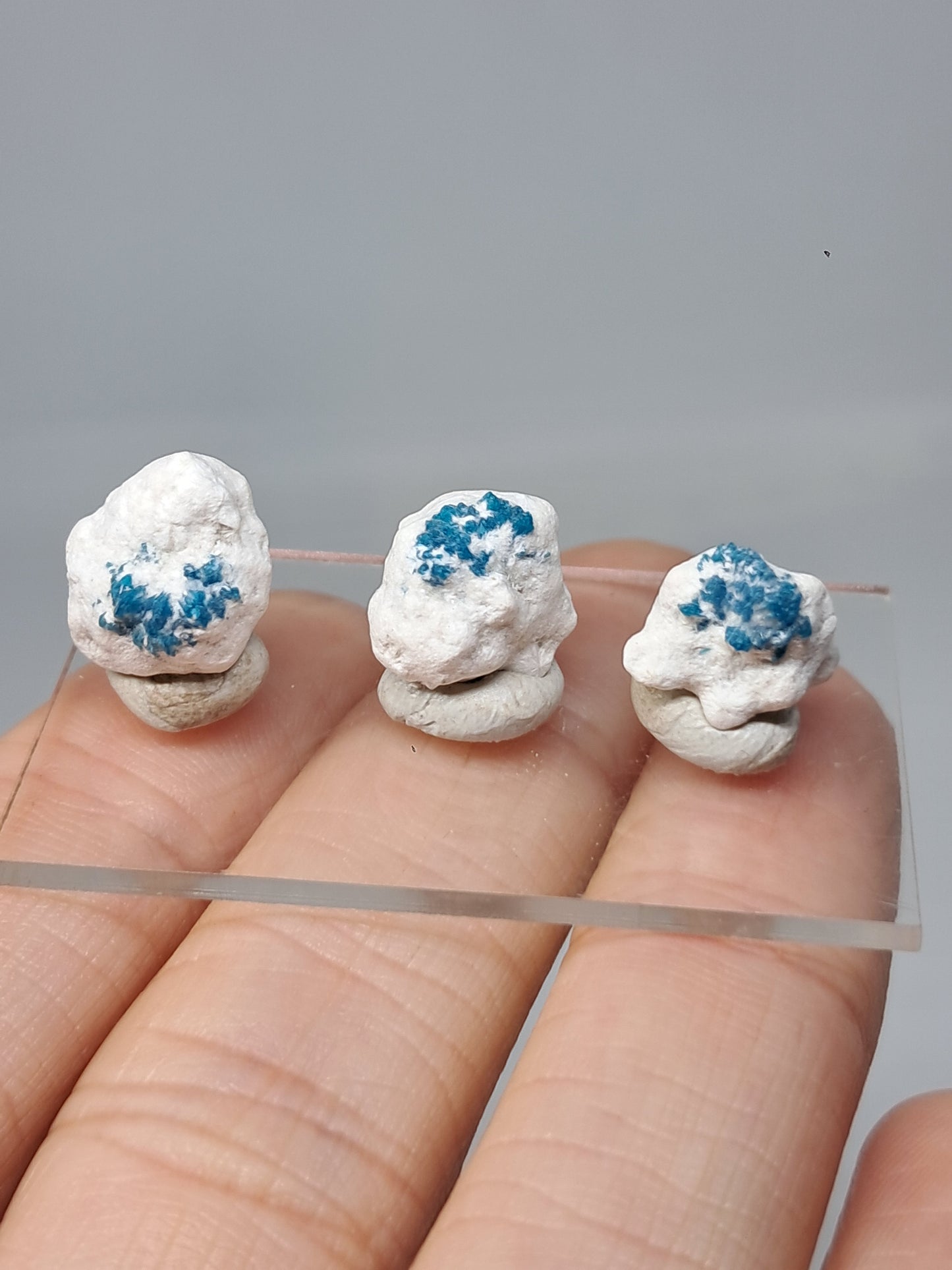 Conjunto de 3 pequeñas cavansitas en matriz de okenita (wagholi) en bruto | Cristal natural | Ejemplar mineral raro n.° CV38