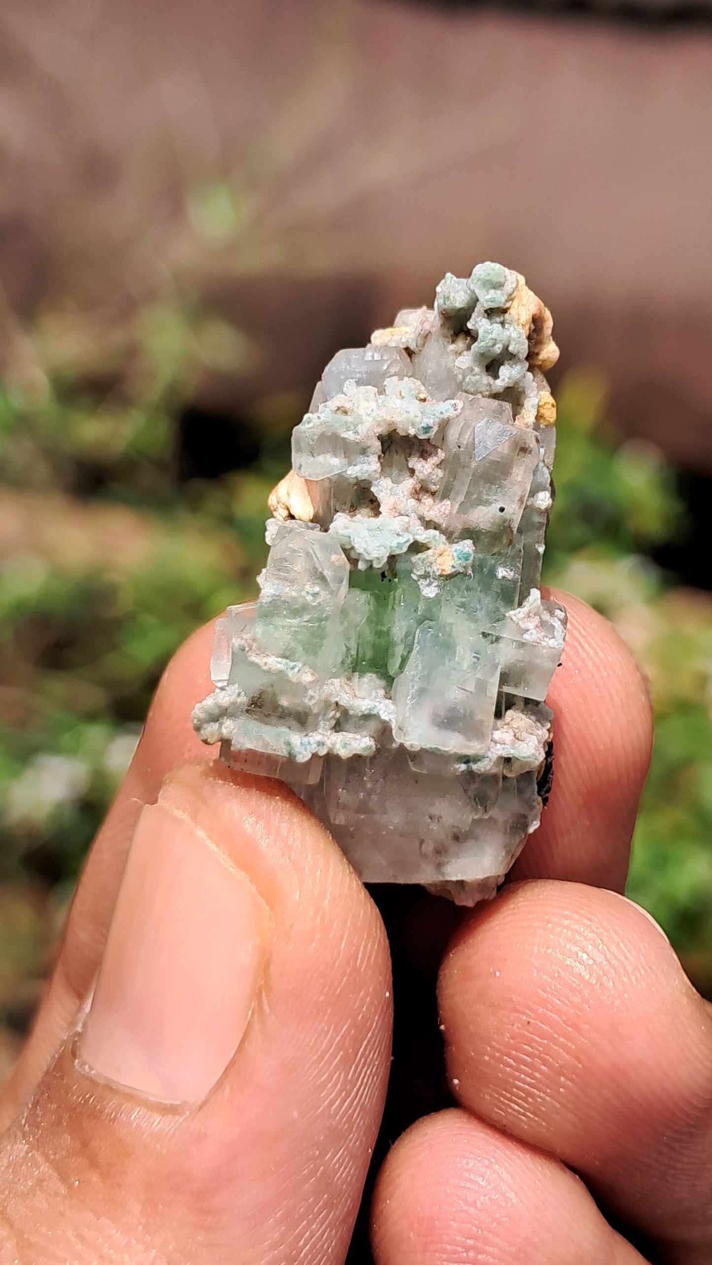 Green Apophyllite (Fluorapophyllite) (Ajanta) Natural Crystal | Mineral Specimen #GA25