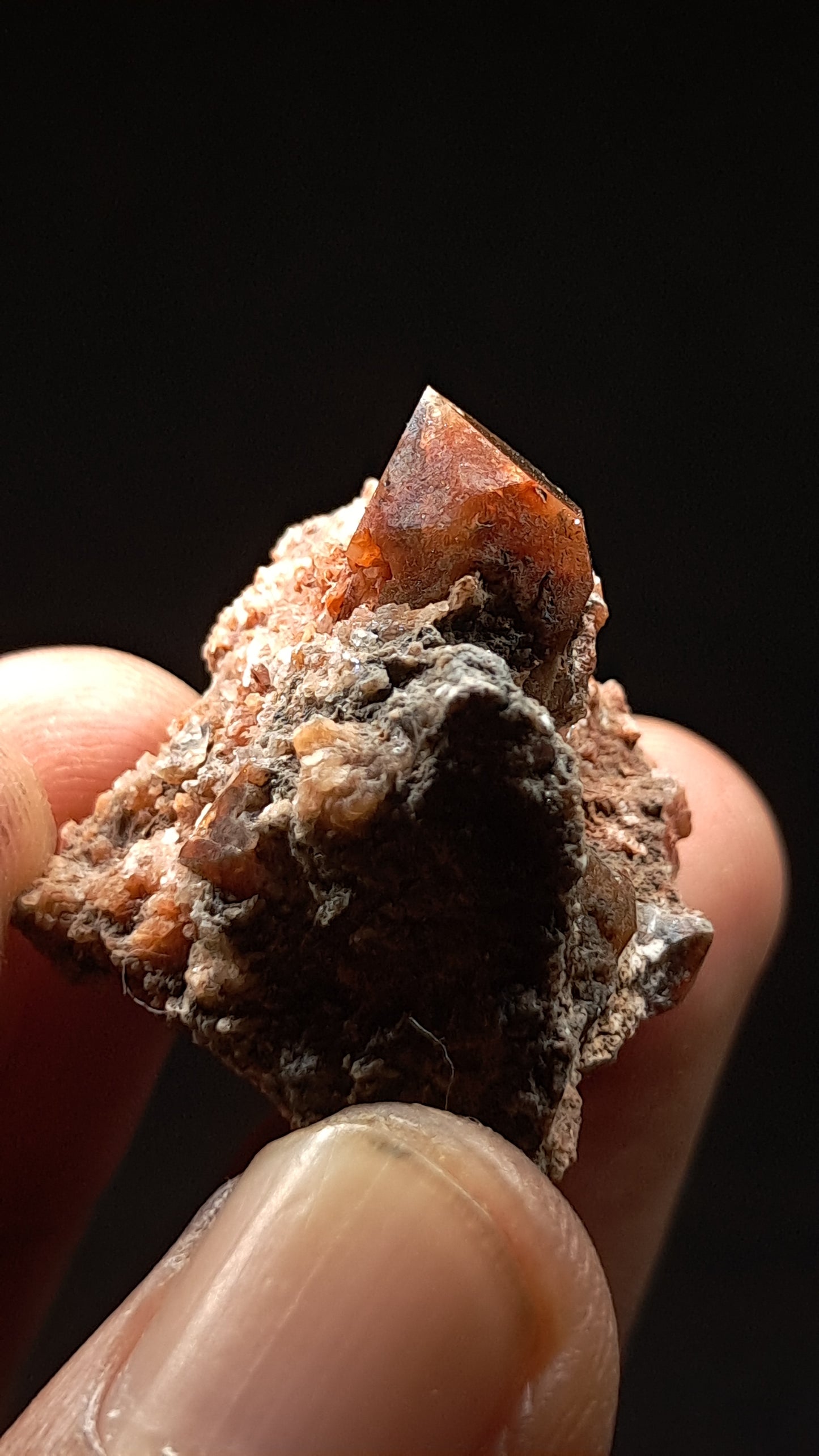 Jacinto de Compostela Quartz On Matrix | Natural Crystal | Mineral Specimen #JCQ3