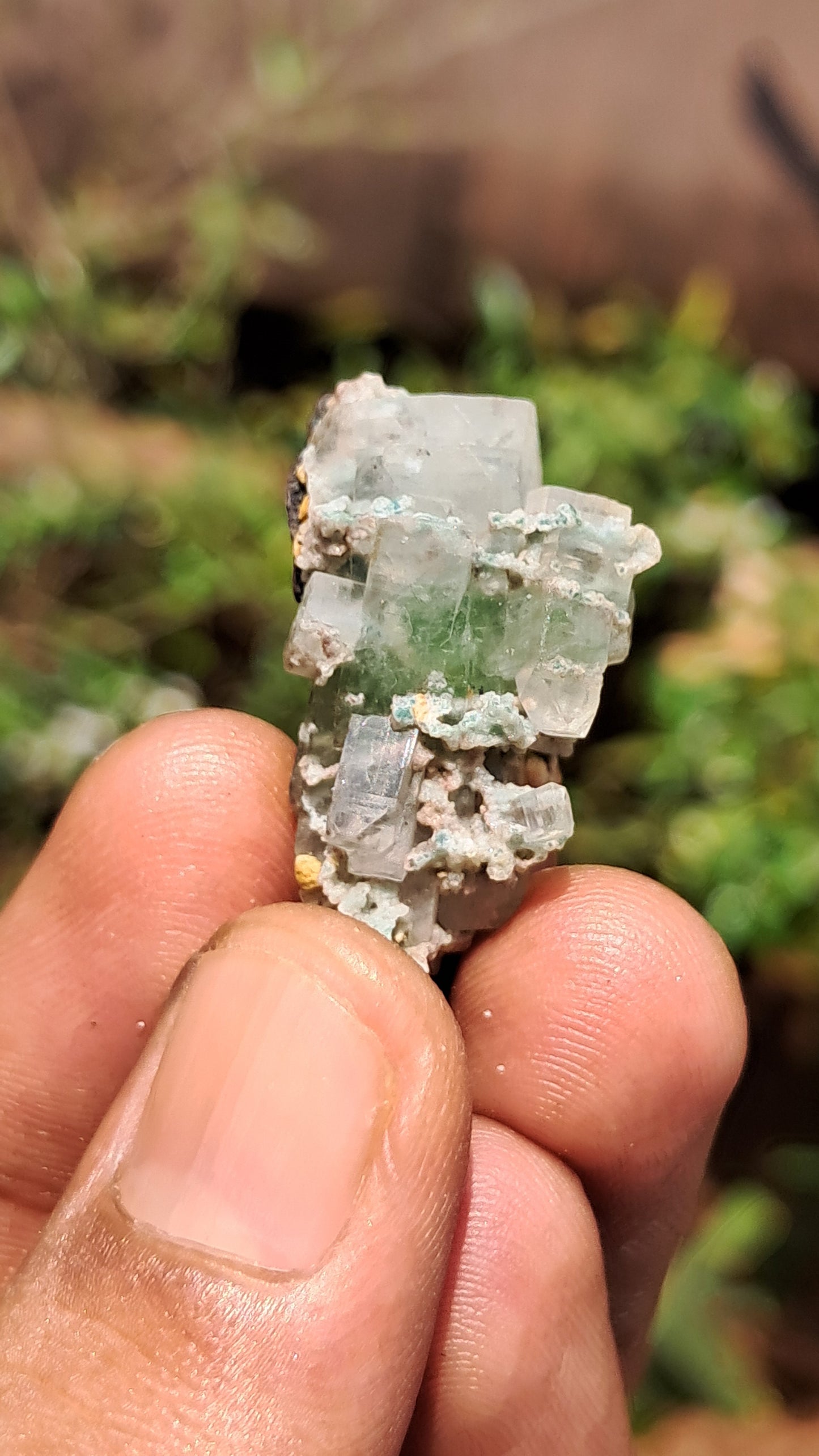 Green Apophyllite (Fluorapophyllite) (Ajanta) Natural Crystal | Mineral Specimen #GA25
