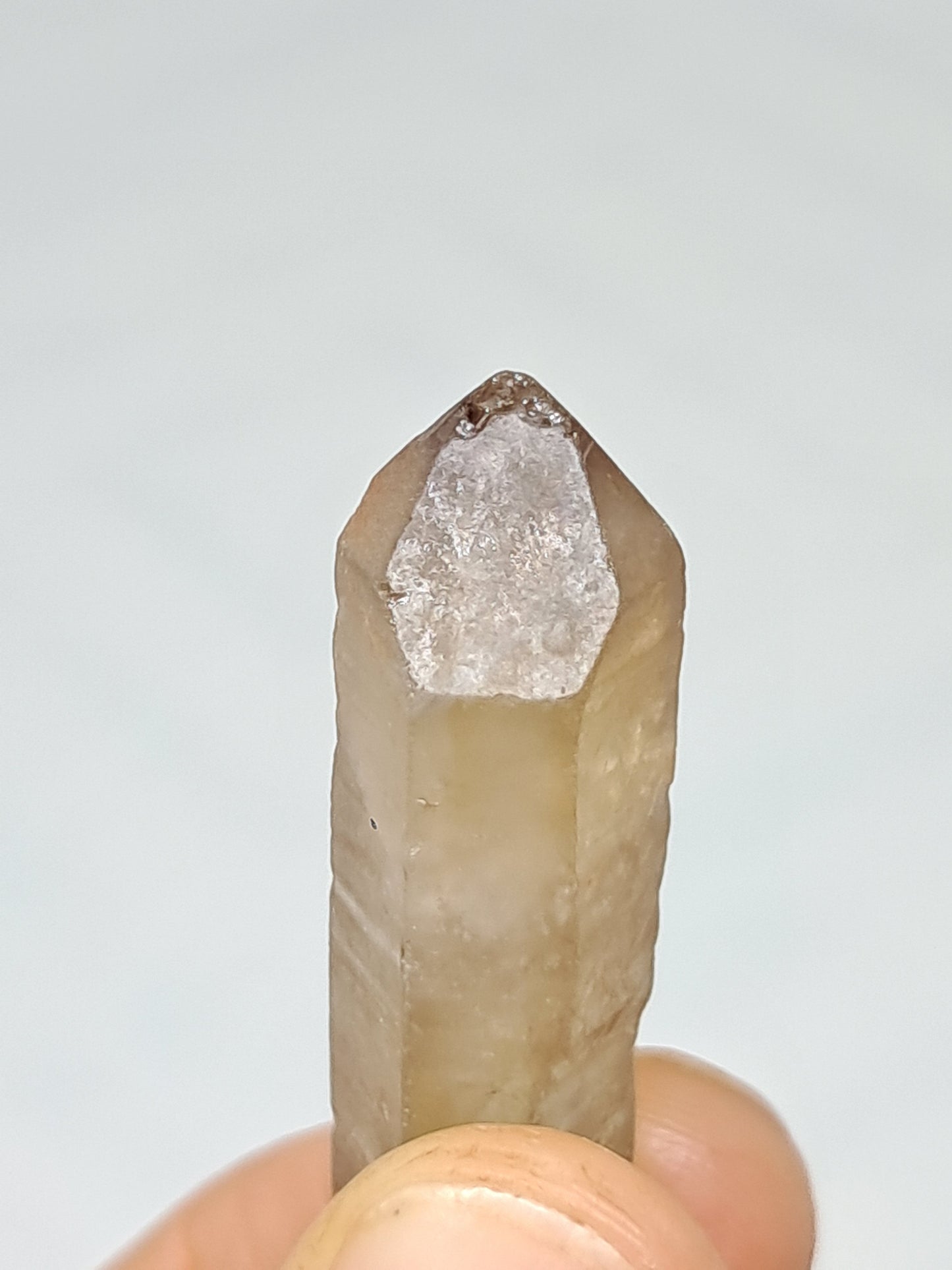 Natural Citrine Crystal Point (Democratic Republic of Congo) #CTN33