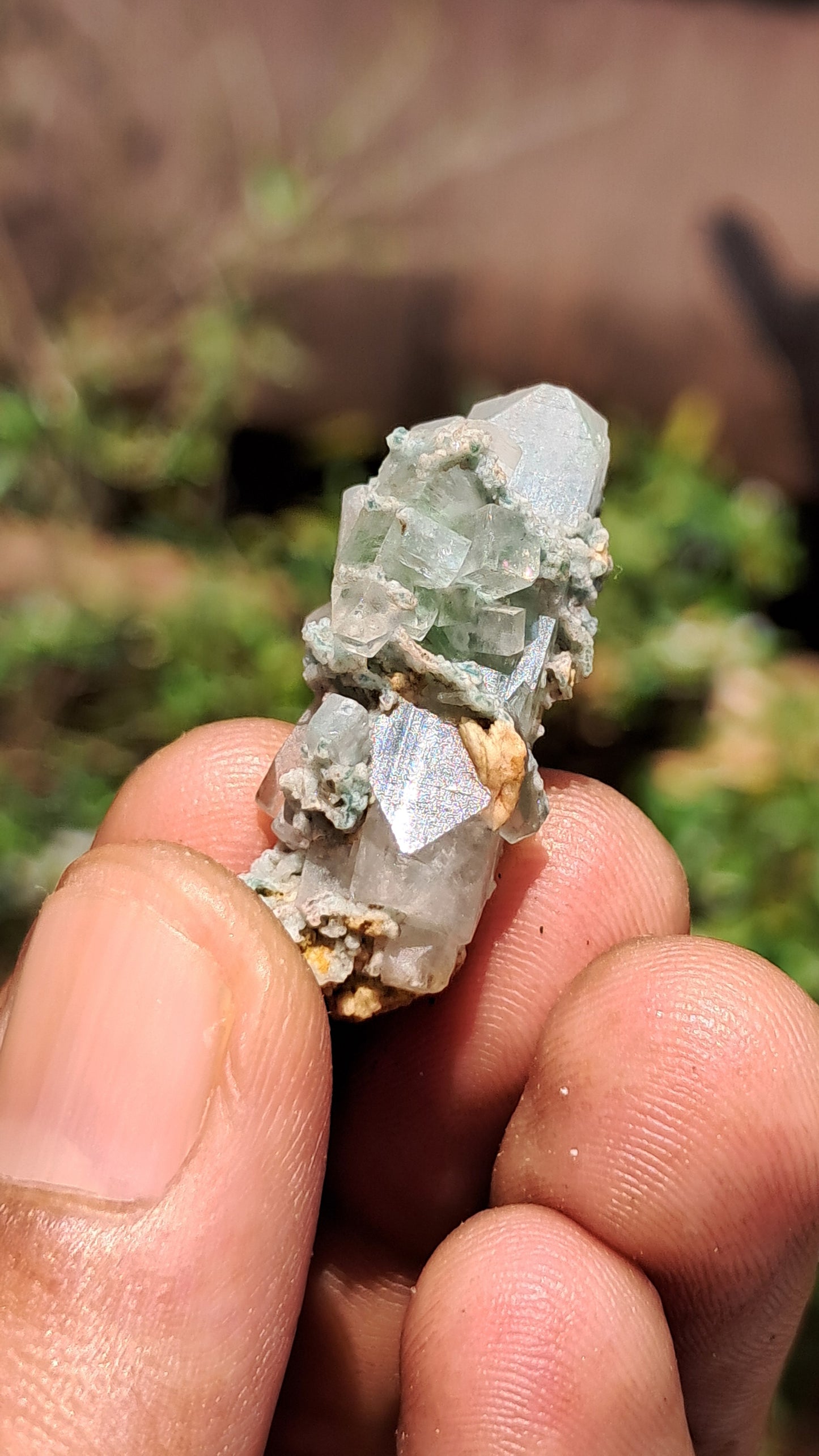 Green Apophyllite (Fluorapophyllite) (Ajanta) Natural Crystal | Mineral Specimen #GA25