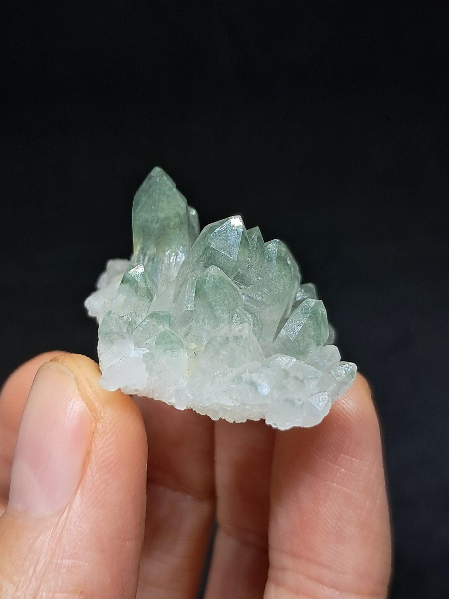 Chlorite Phantom Cluster (Kullu) Natural Crystal | Garden Chamanic Quartz #CQ76