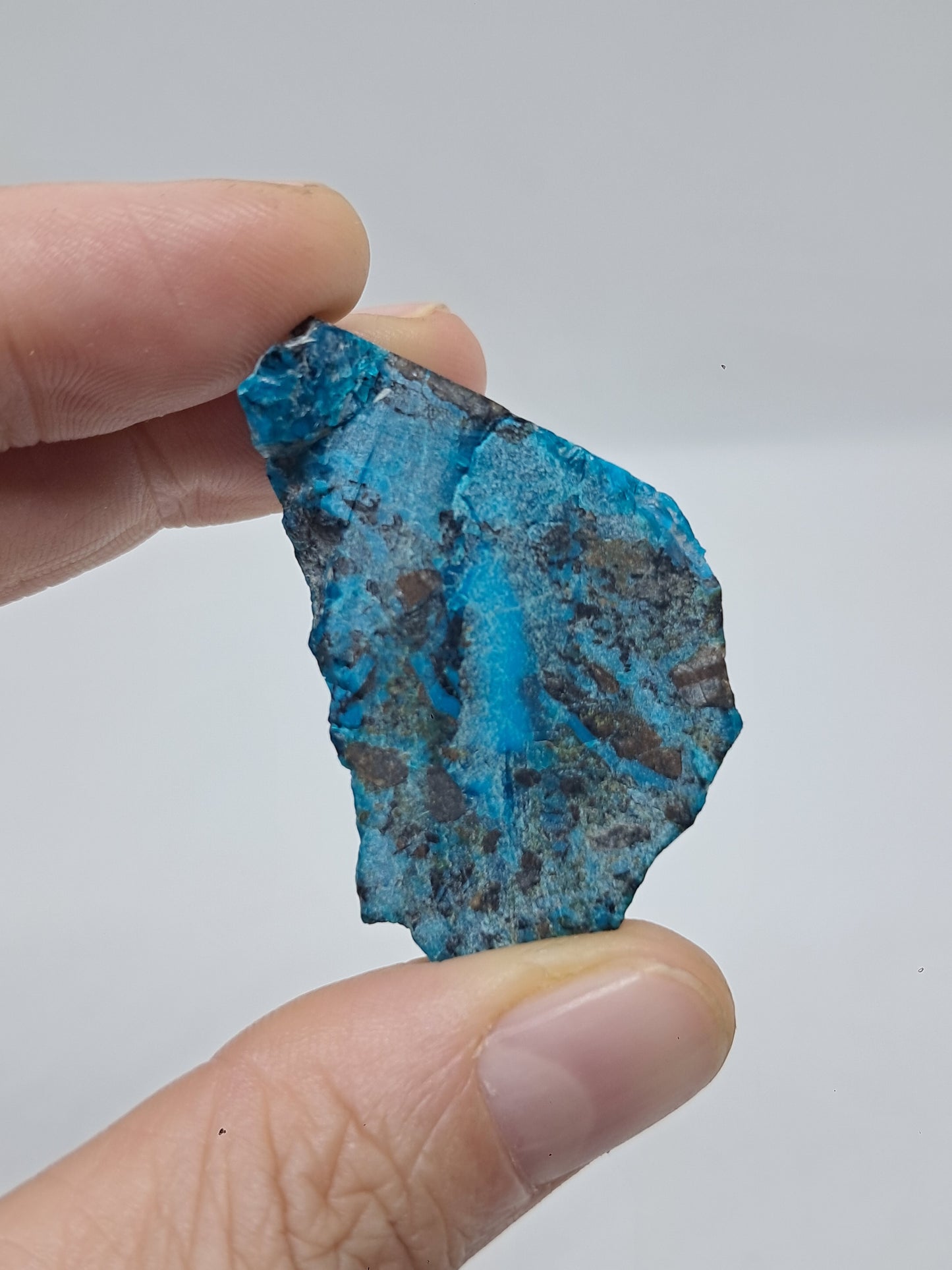 Blue Opal from Chile (Atacama) *New Find*| Rough Natural Stone | Rare Mineral Specimen #CBO2
