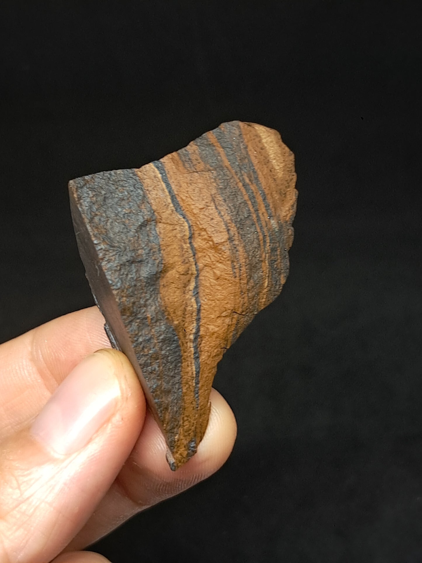 Rough Tiger's Eye (India) Natural Stone #TE2
