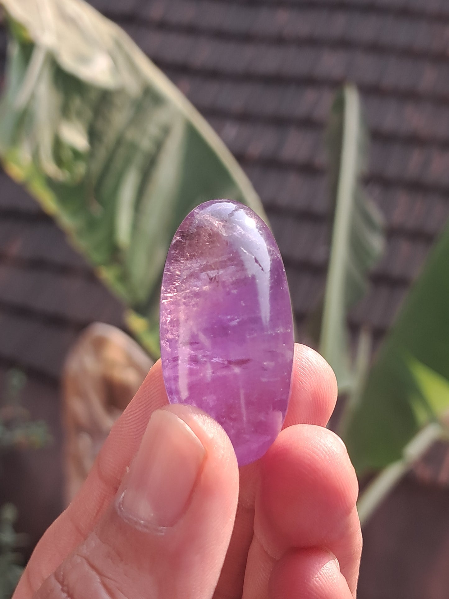 Ametrino en Bruto (piedra natural no preciosa) #AMT7