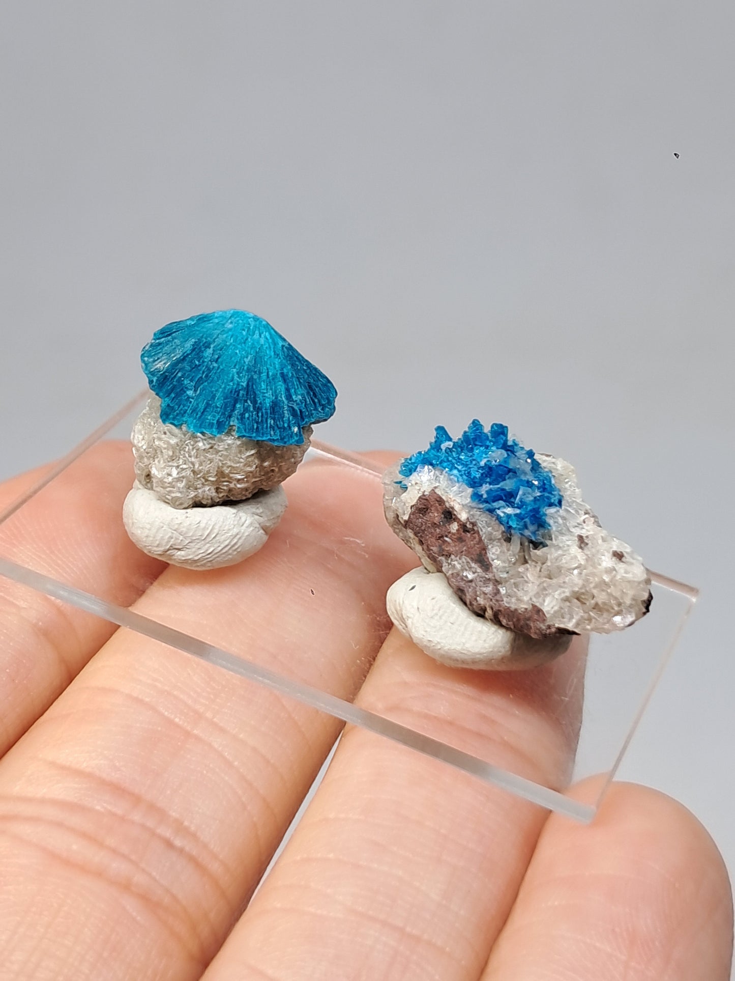 Set of Cavansite & Pentagonite on Matrix (Wagholi) Rough Stone | Natural Crystal | Rare Mineral Specimen #CV40