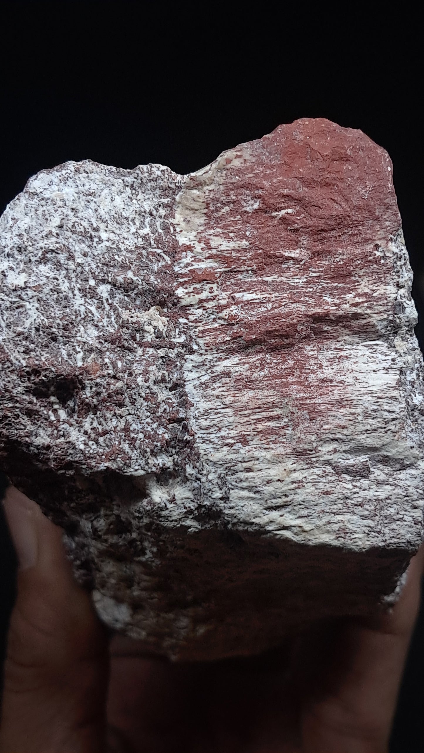Fluorescent Alunite with Red Iron Oxide | Natural Hydrothermal Alteration Specimen #UC1
