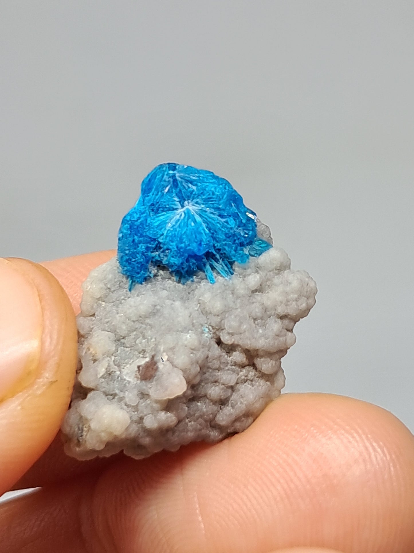 Set of Cavansite & Pentagonite on Matrix (Wagholi) Rough Stone | Natural Crystal | Rare Mineral Specimen #CV41