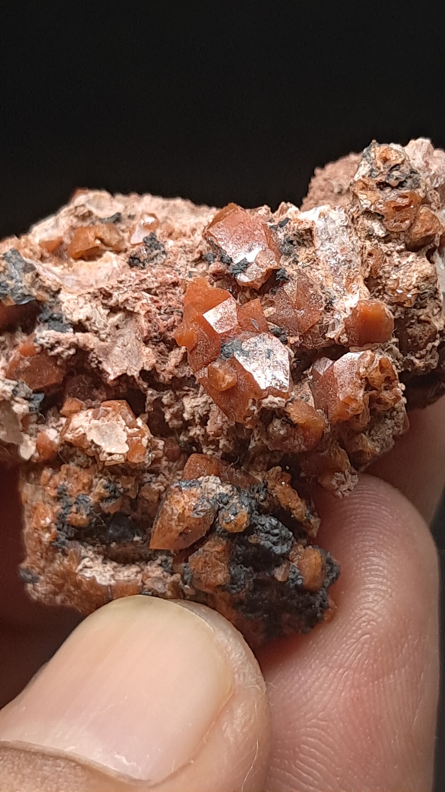 Jacinto de Compostela Quartz Cluster On Matrix | Natural Crystal | Mineral Specimen #JCQ7