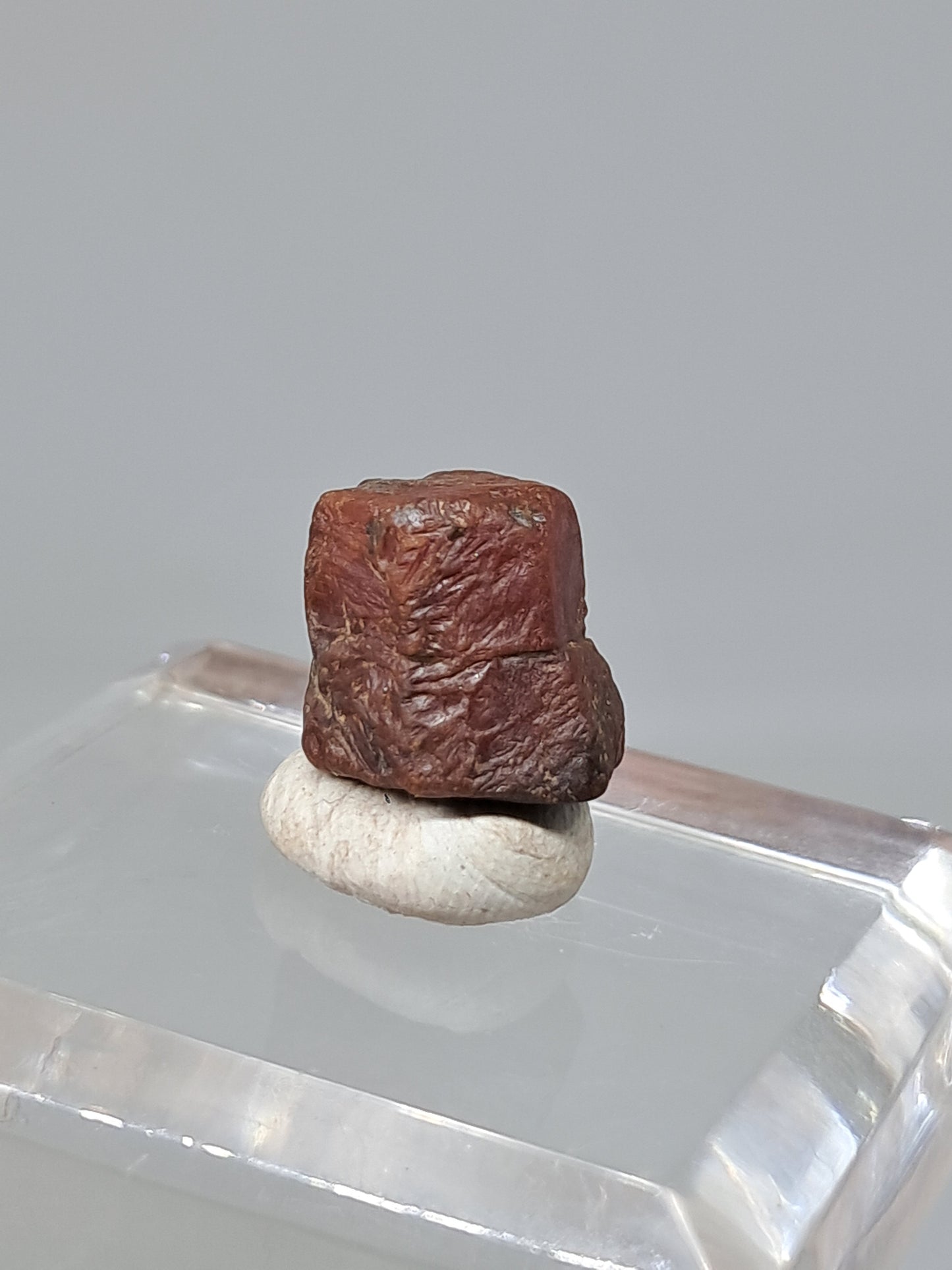 Rough Ruby Crystal w/ Record Keeper (Tamil Nadu) Natural Stone | Mineral Specimen #RB17