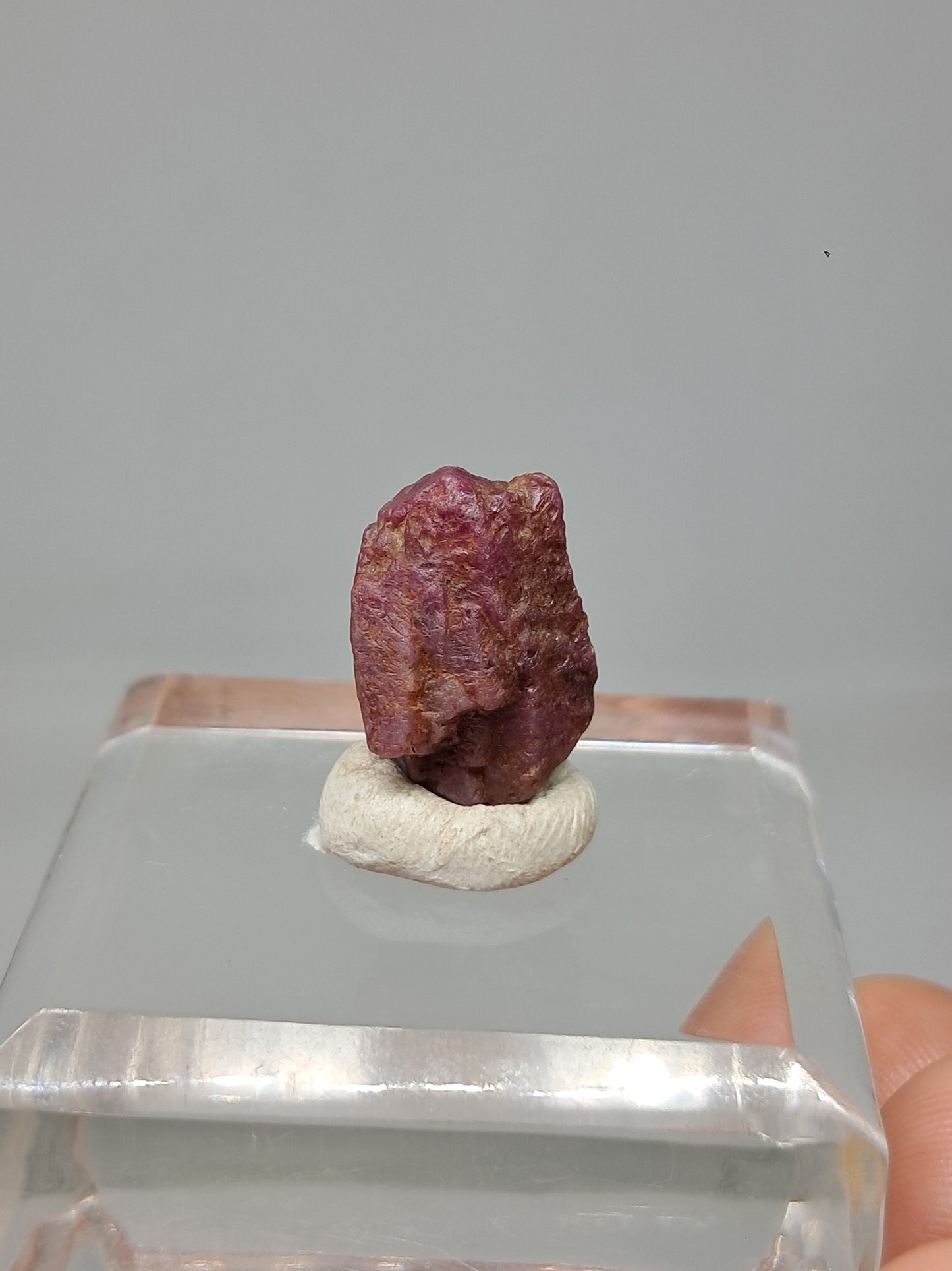 Cristal de rubí en bruto (Tamil Nadu) Piedra natural | Muestra mineral #RB22
