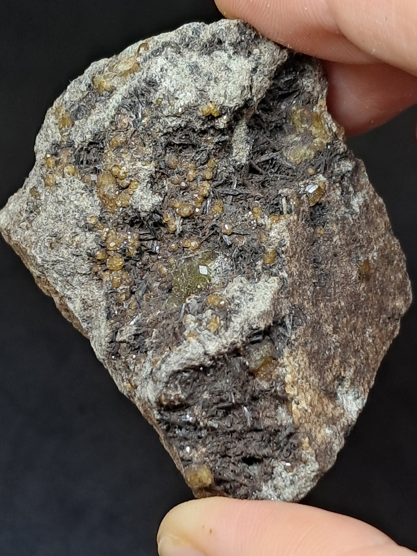 Green Garnet w/ Aegirine (Acmite) on Matrix (Mexico) Andradite Garnet Cluster |Rough Crystal Stone | Mineral Specimen #GR29