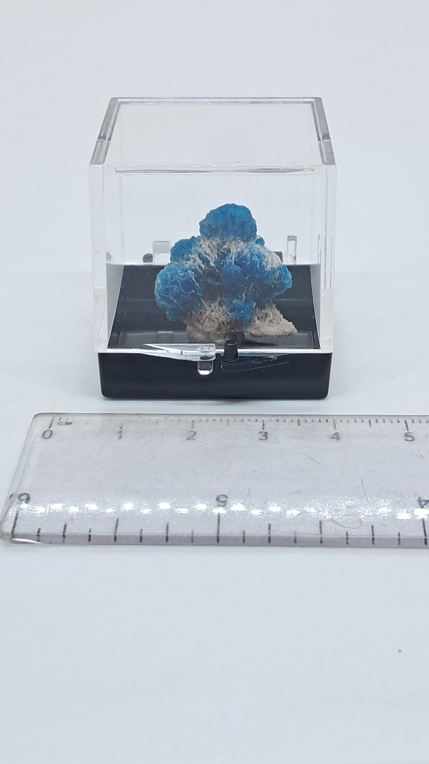 Perfect Cavansite Spheres on Fibrous Stilbite (Wagholi) Rough Stone | Natural Crystal | Rare Mineral Specimen #CV59