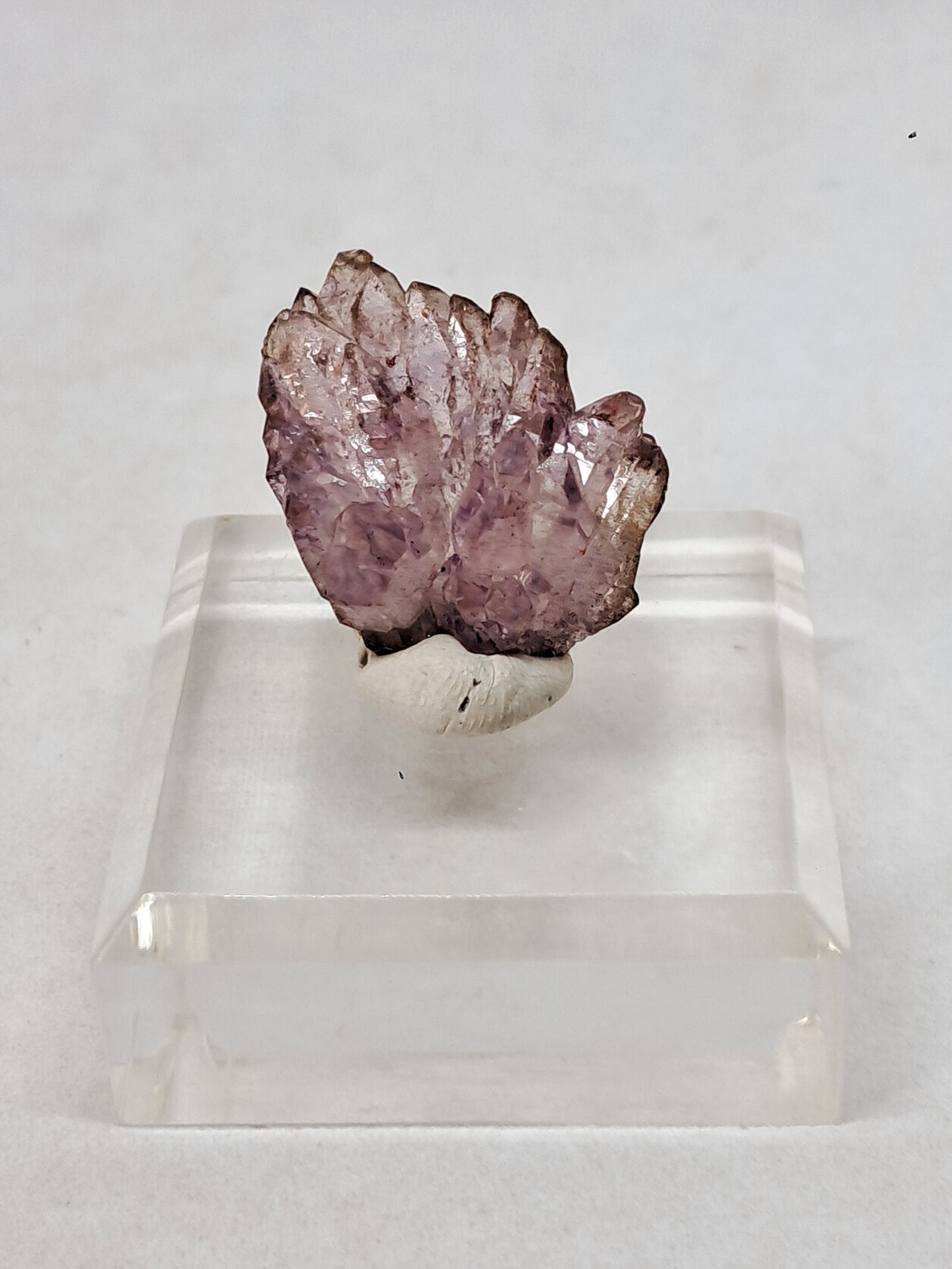 Cúmulo de Amatista en Cetro con inclusiones "Super Seven" (Karur) | Piedra Natural | Ejemplar Mineral n.° KA92