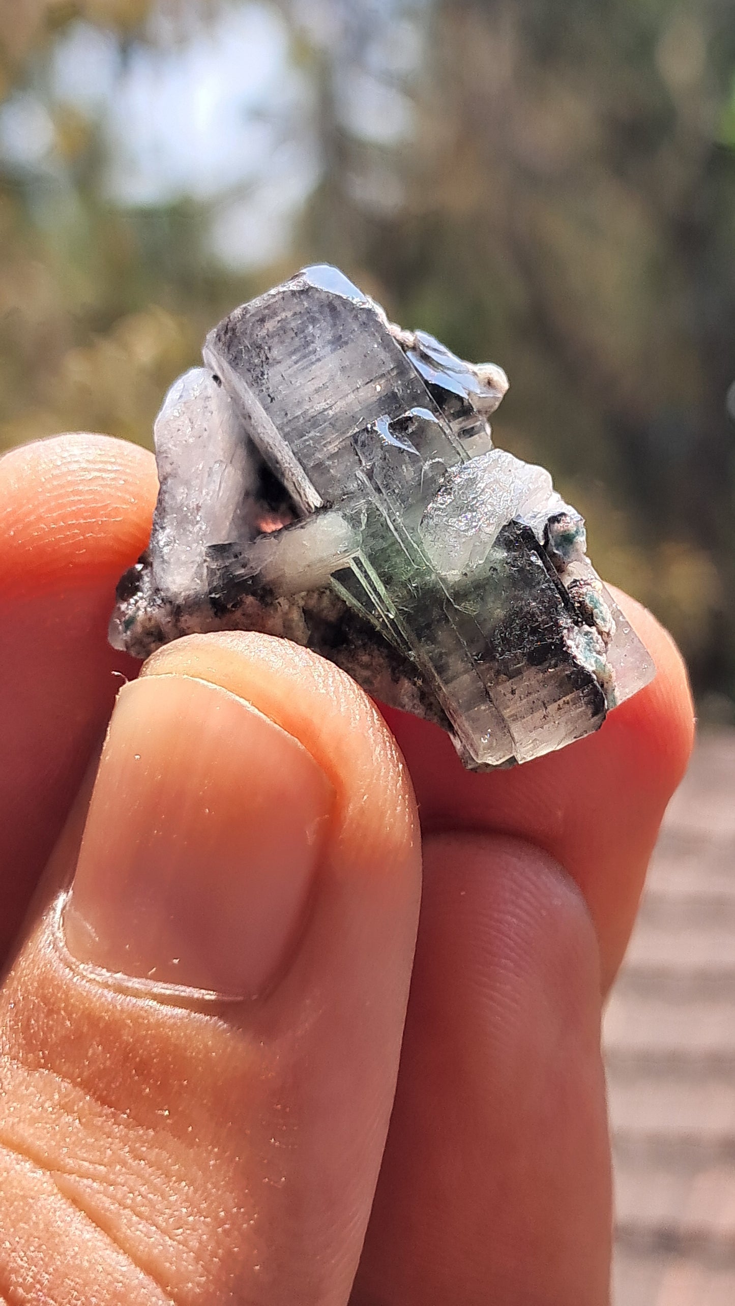 Green Apophyllite (Fluorapophyllite) (Ajanta) Natural Crystal | Mineral Specimen #GA30