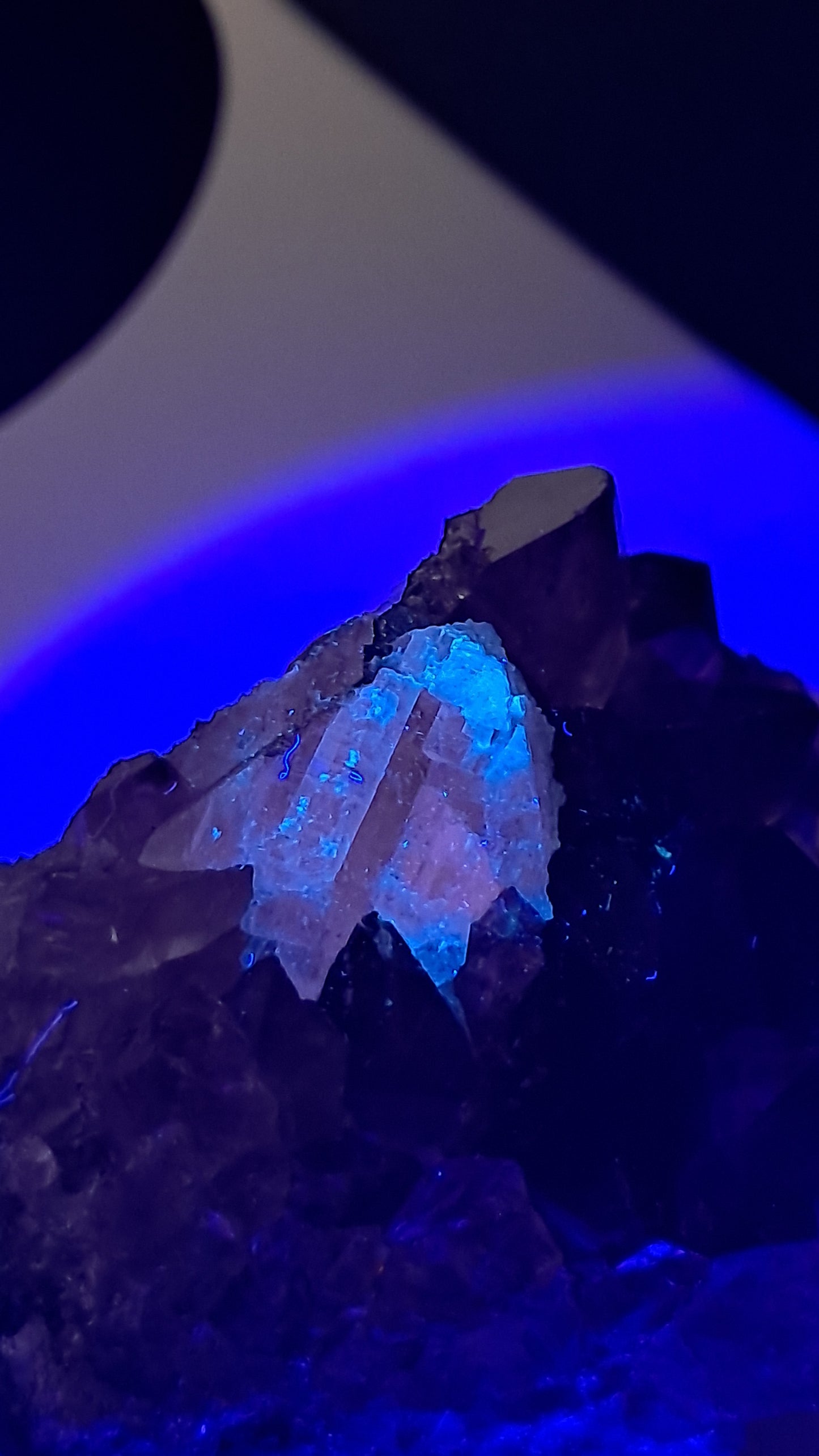 Deep Purple Amethyst With UV Reactive Calcite (Brazil) | Natural Cluster | Mineral Specimen #AMB8