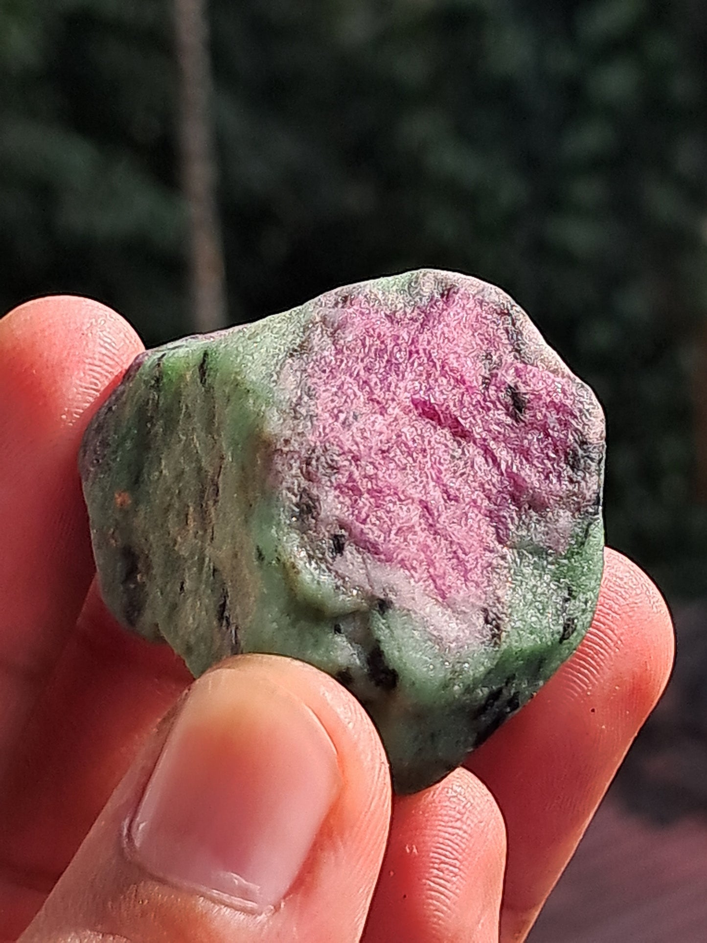 Ruby Zoisite w/ Hornblende (Tanzania) Rough Stone | Natural Specimen #RZ11