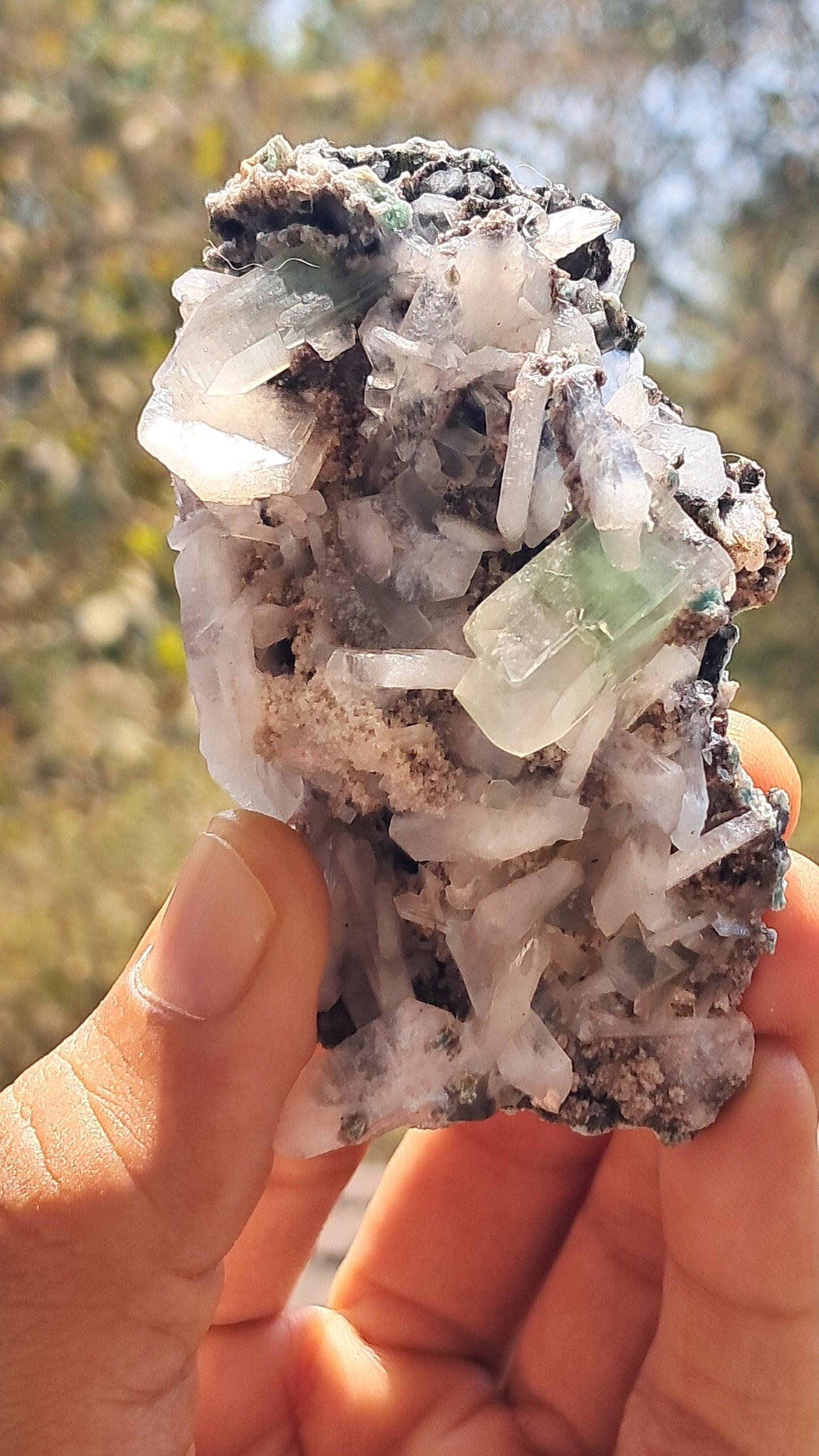 Apofilita Verde (Fluorapofilita) con Estilbita en Matriz (Ajanta) Cristal Natural | Muestra Mineral #GA17