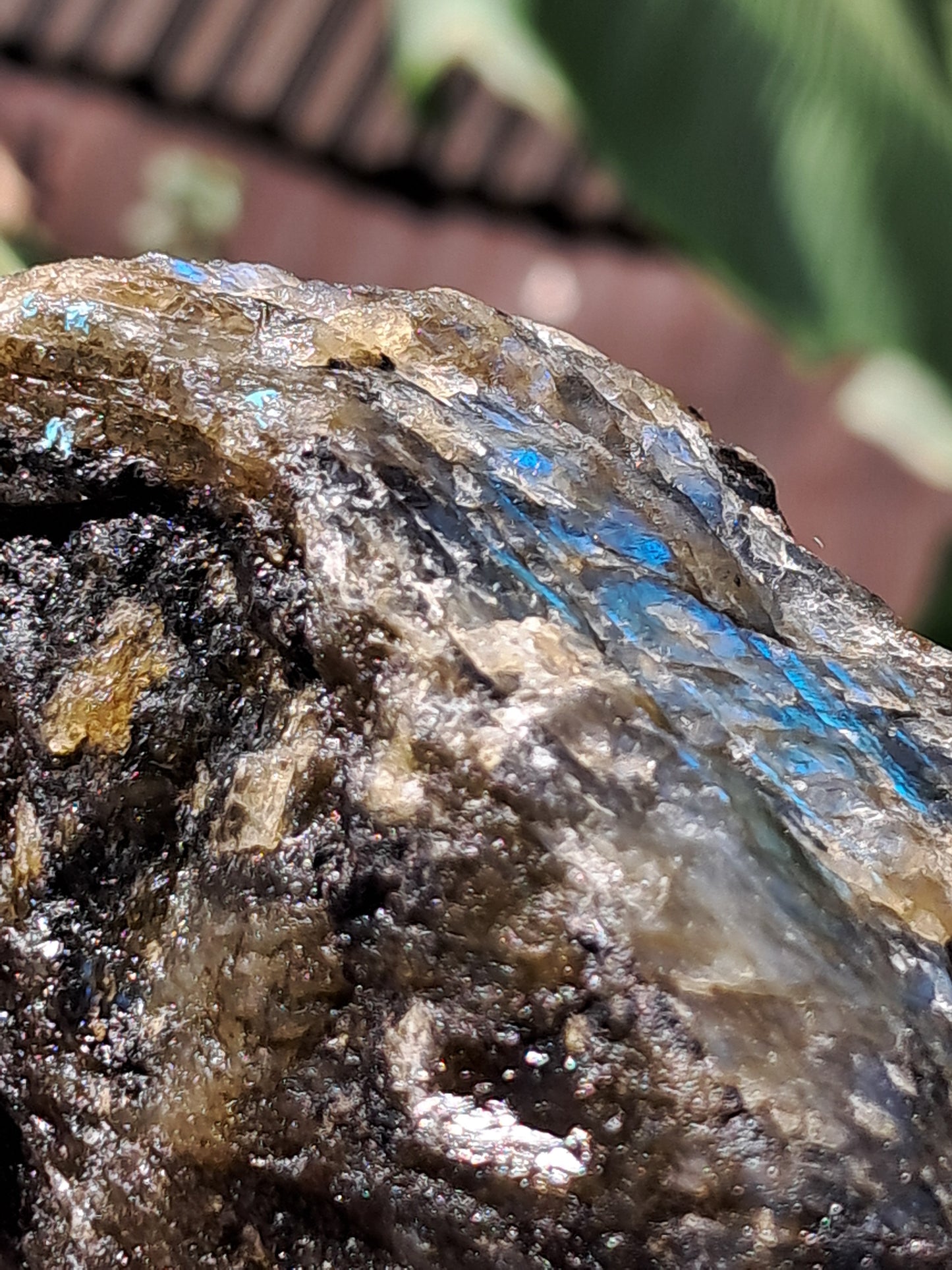 Labradorite Raw (Madagascar) | Strong Flash #LB5
