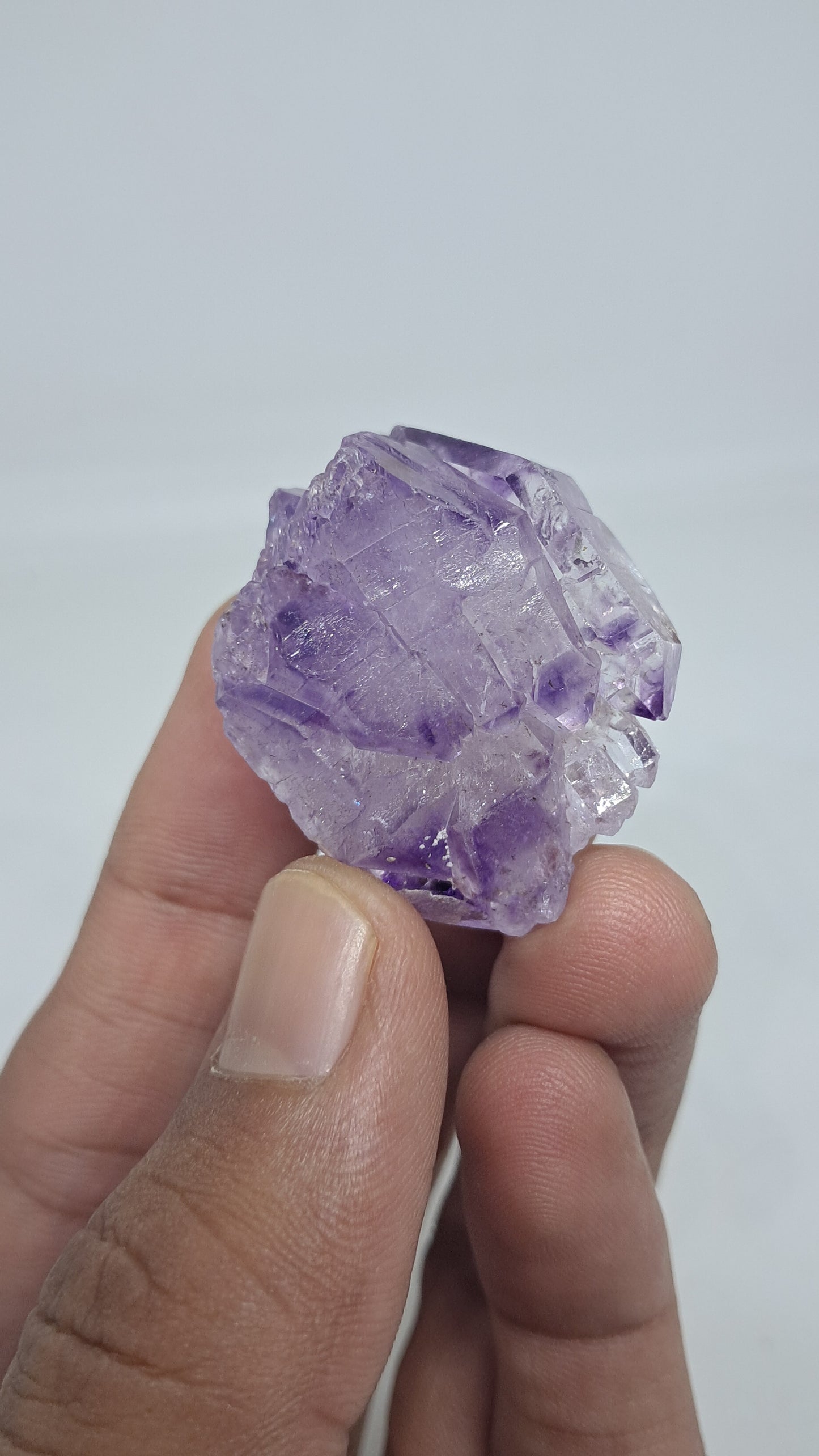 Racimo de Cetros de Amatista | Formación Elestial | Cristal Natural | Muestra Mineral #KA191