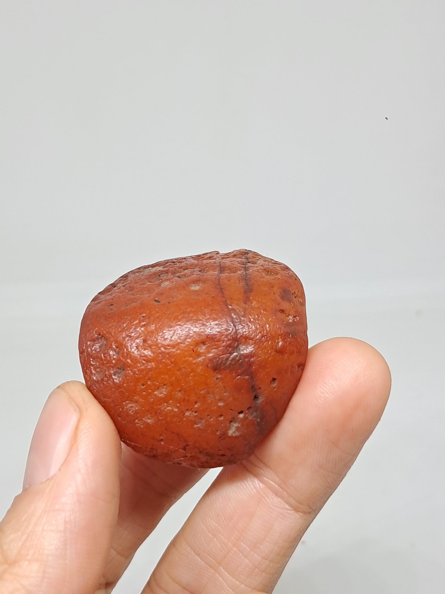 Rough Carnelian (India) Raw Stone | Natural Crystal | Mineral Specimen #CRN19